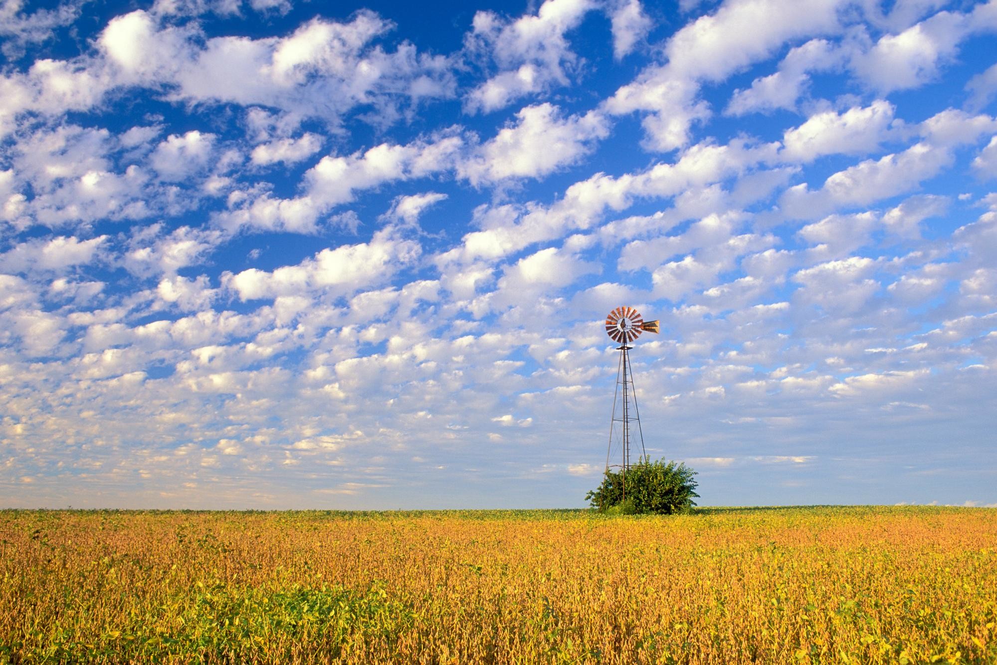 Mulino a vento, Campo di grano, Nuvole, Cielo azzurro, Full HD, sfondo per PC