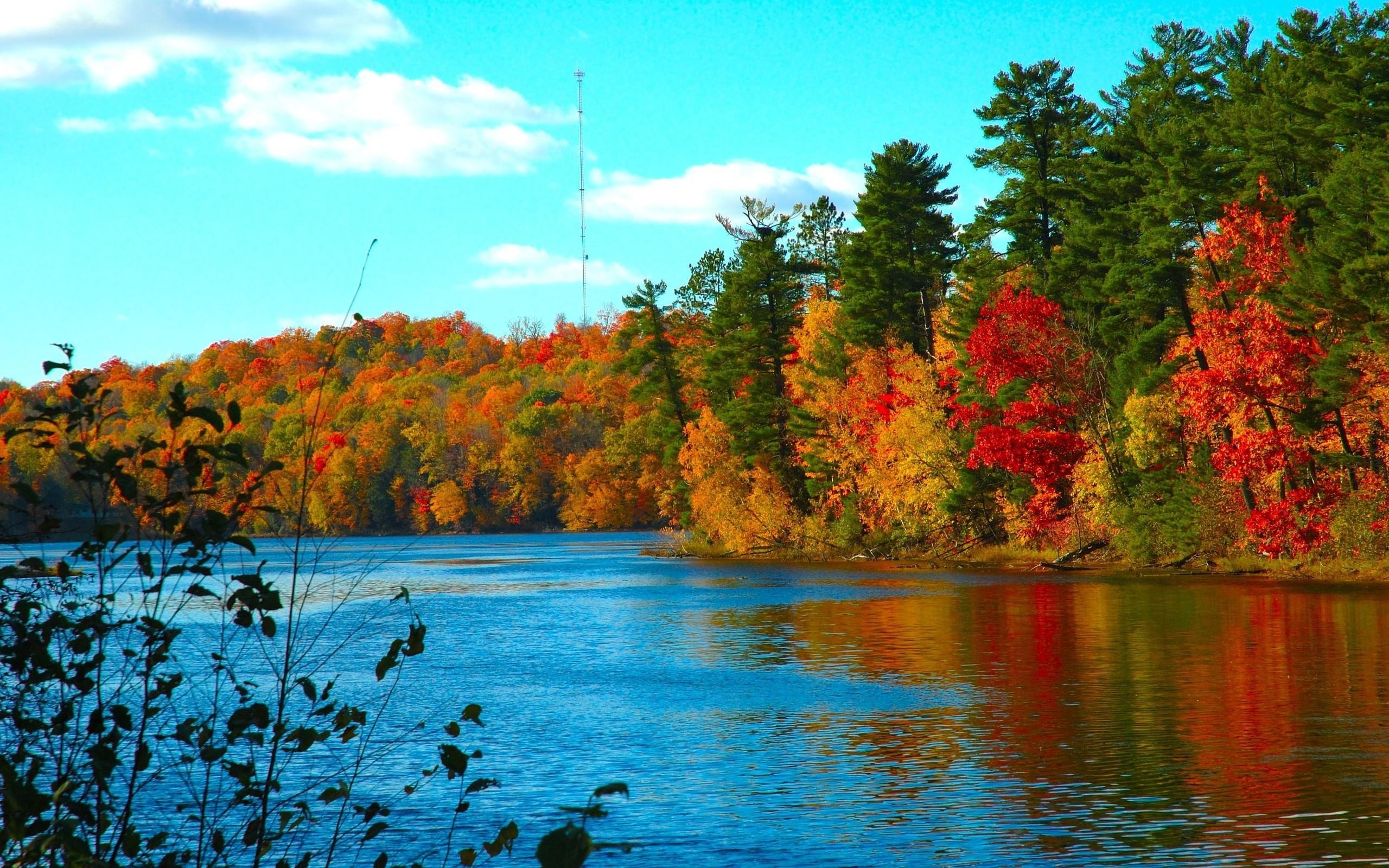 Lago, Foliage autunnale, Alberi, Cielo azzurro, 2K, sfondo per il tuo desktop