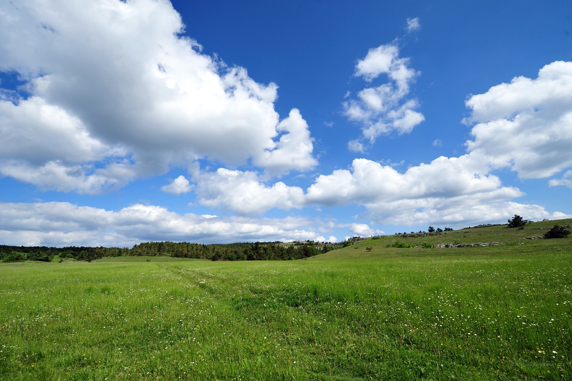 Prato, Nuvole, Cielo azzurro, Campagna, sfondo tablet