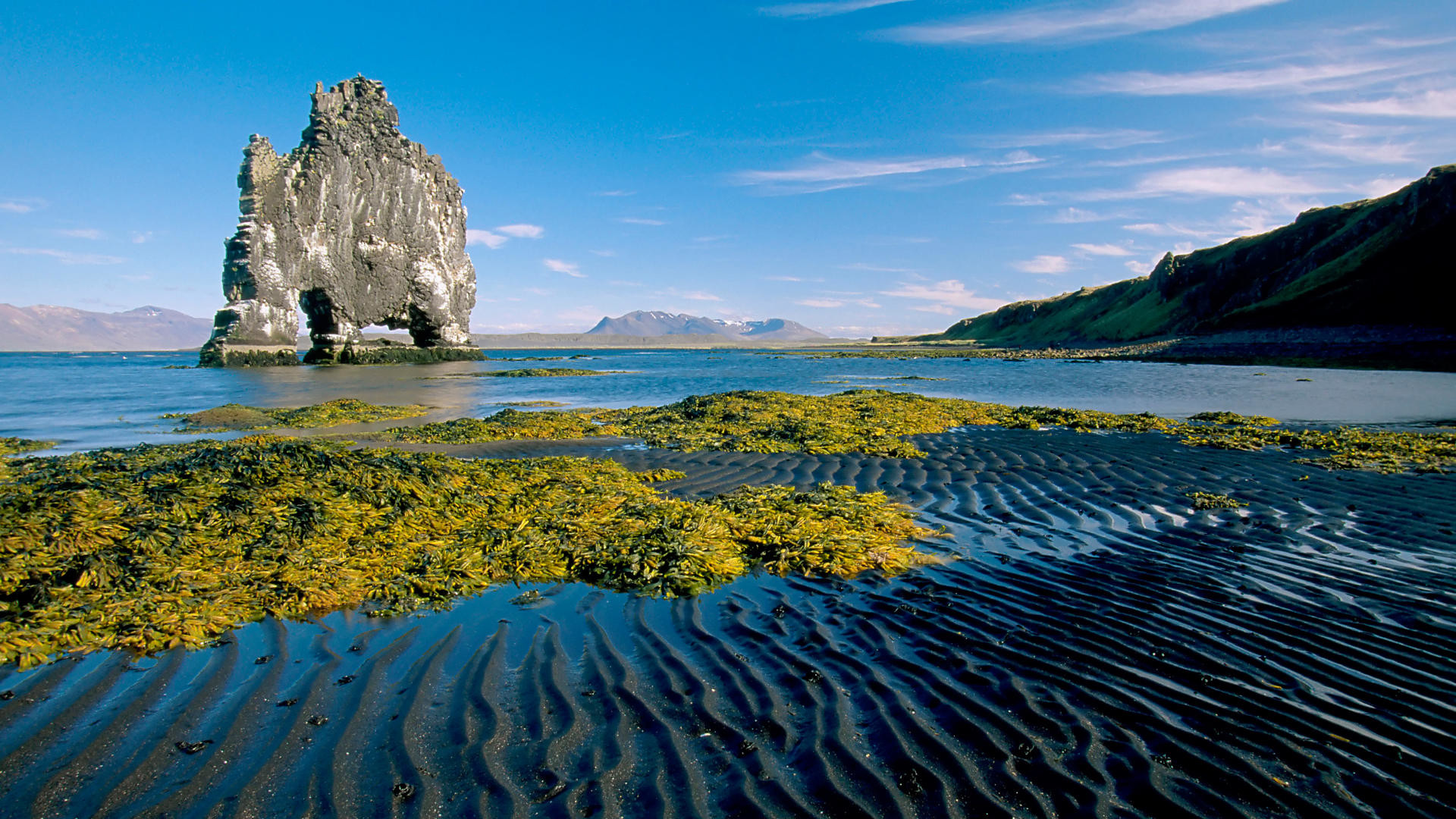 Hvítserkur, Islanda, Faraglione, Bassa marea, Full HD, sfondo per PC e portatile