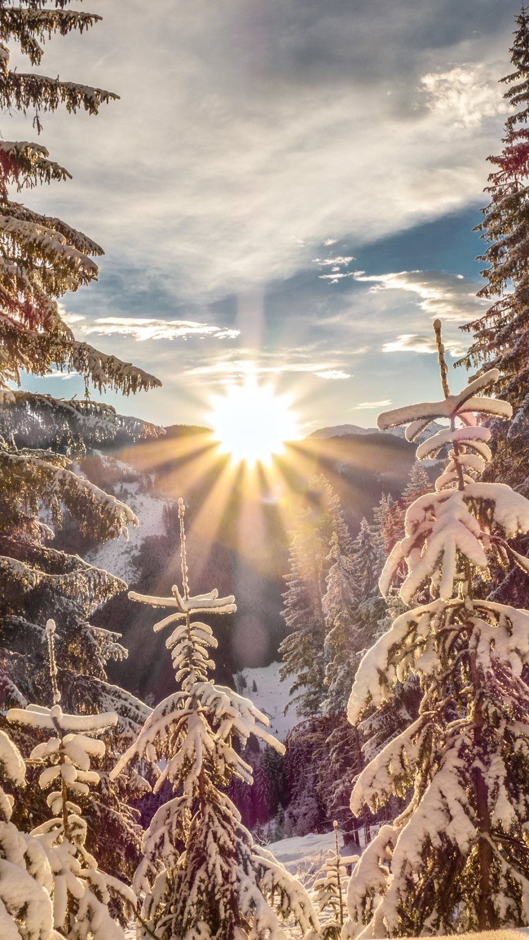 Abeti innevati, Sole, Inverno, Montagne, wallpaper per smartphone