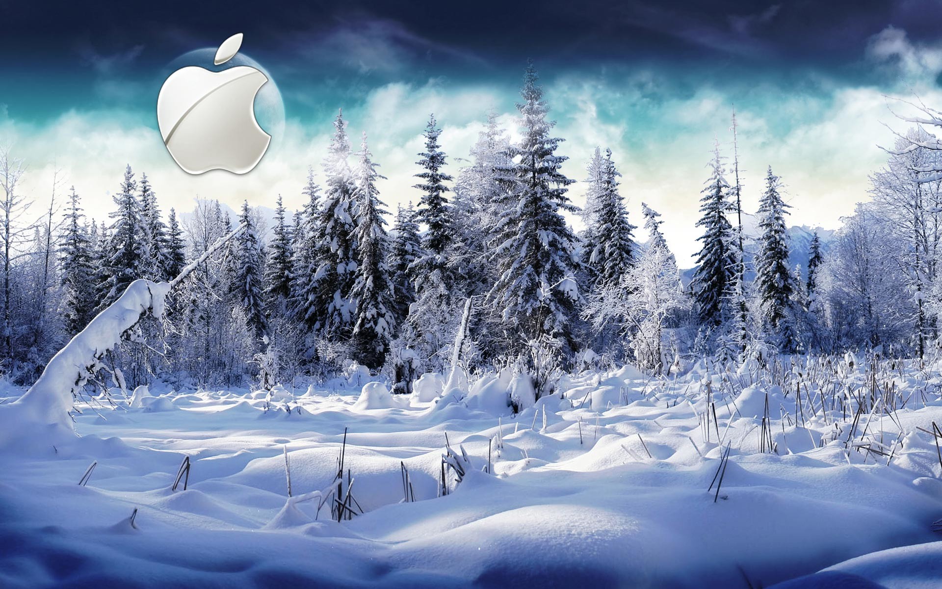 Logo Apple, Abeti innevati, Neve, 1920x1200, sfondo MacBook Pro