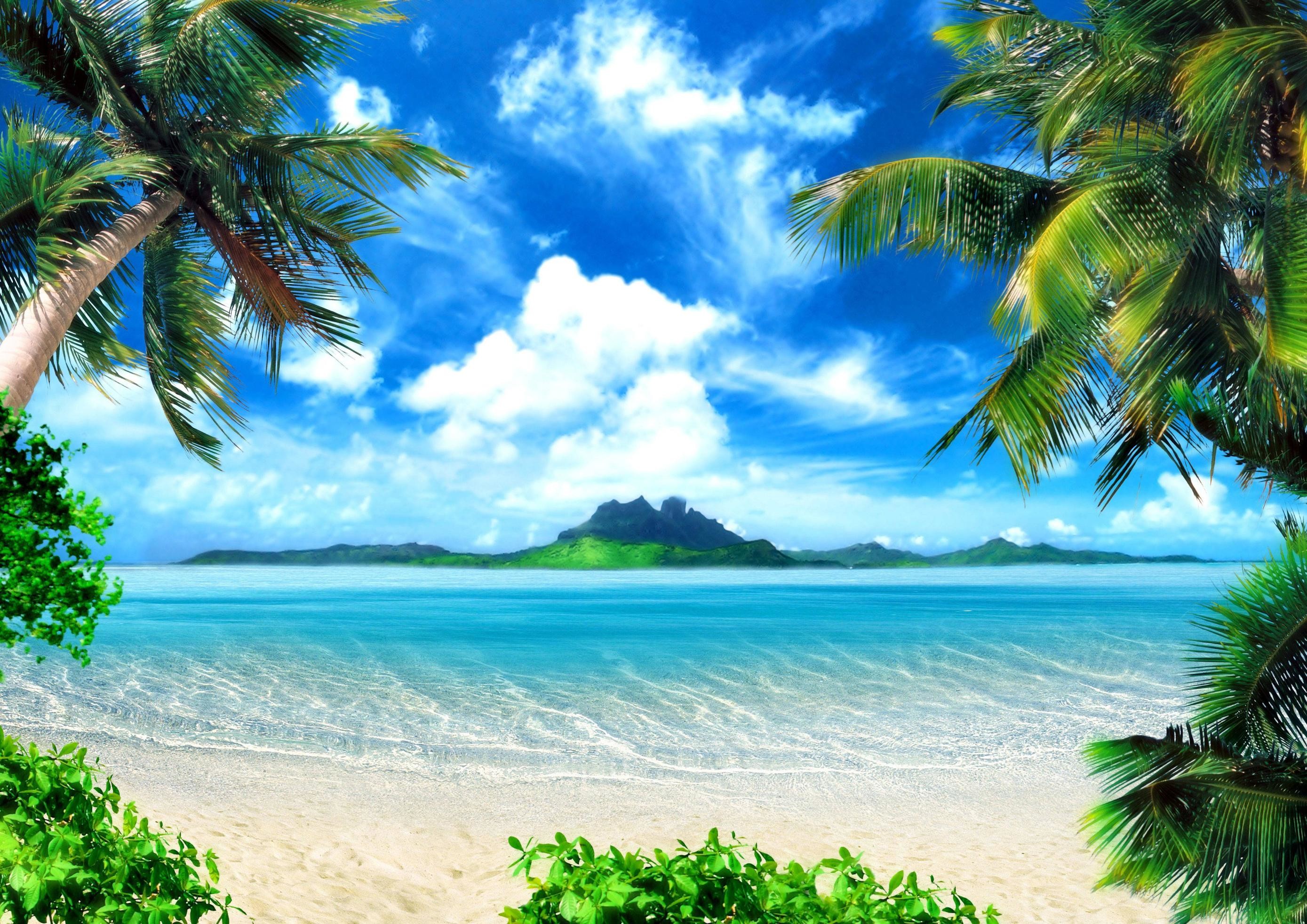 Bora Bora, Palme, Laguna, Monte Otemanu, 2K, sfondo desktop