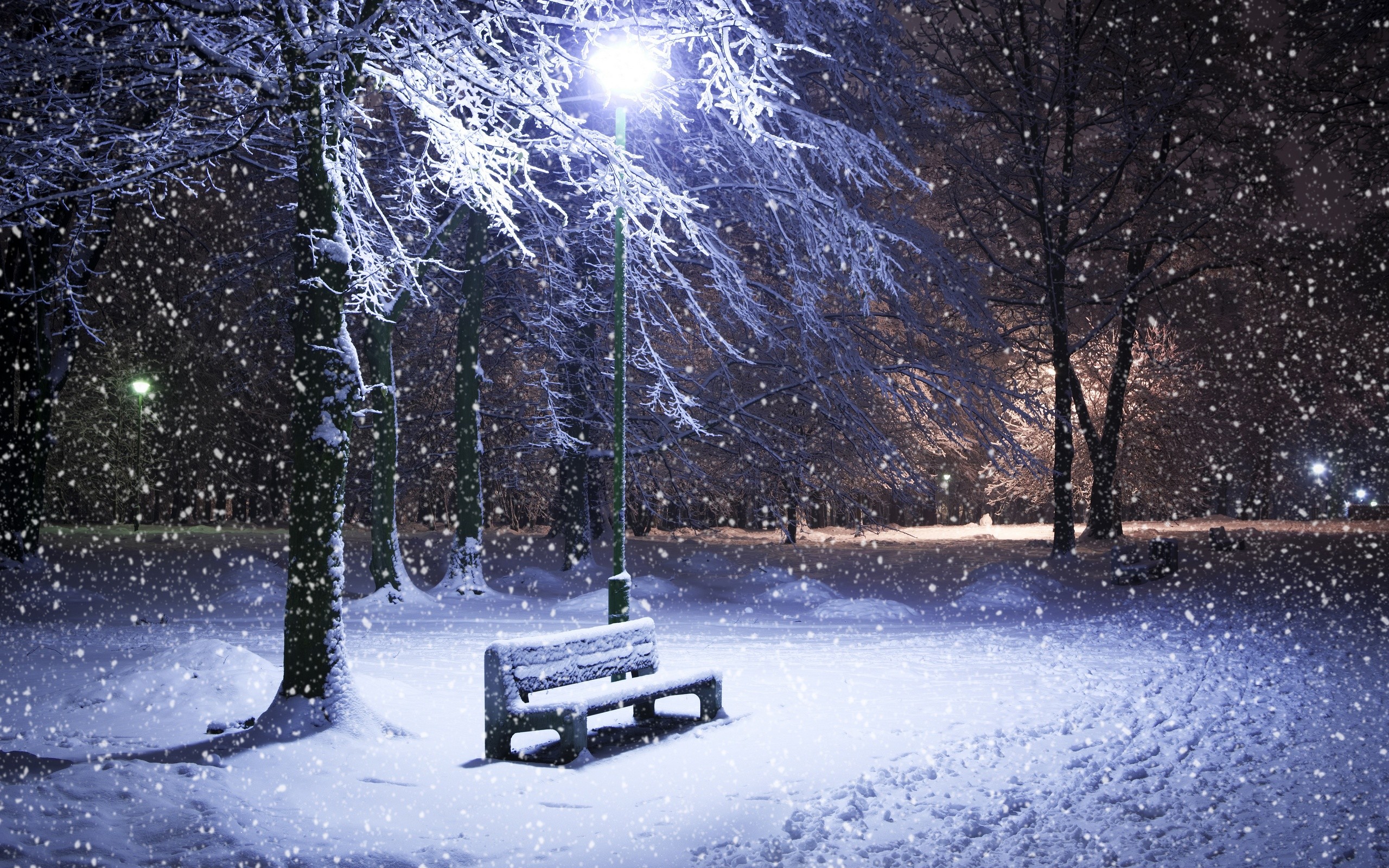 Parco innevato, Panchina, Lampione, Nevicata, Notte, 2K, sfondo desktop