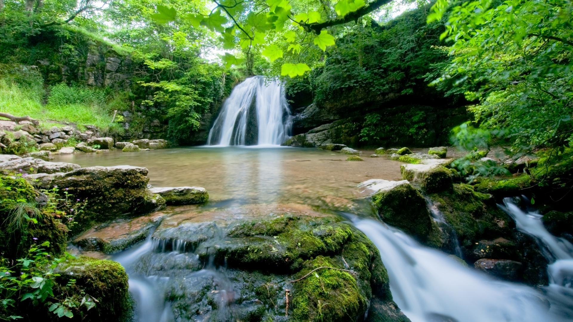 Cascata, Foresta, Rocce muschiose, Natura, sfondo per il tuo desktop