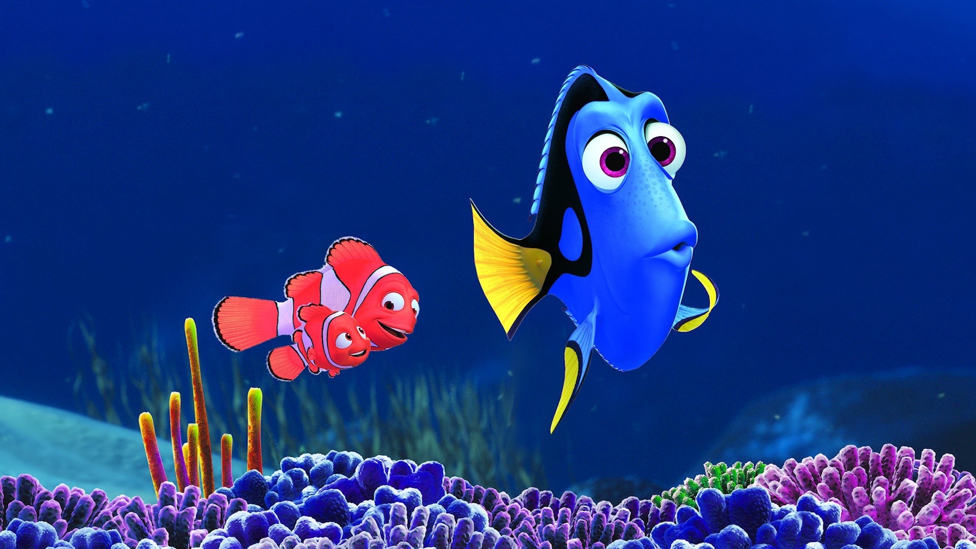 Dory, Nemo, Alla ricerca di Nemo, Pixar, Barriera corallina, 16:9 Full HD, sfondo widescreen