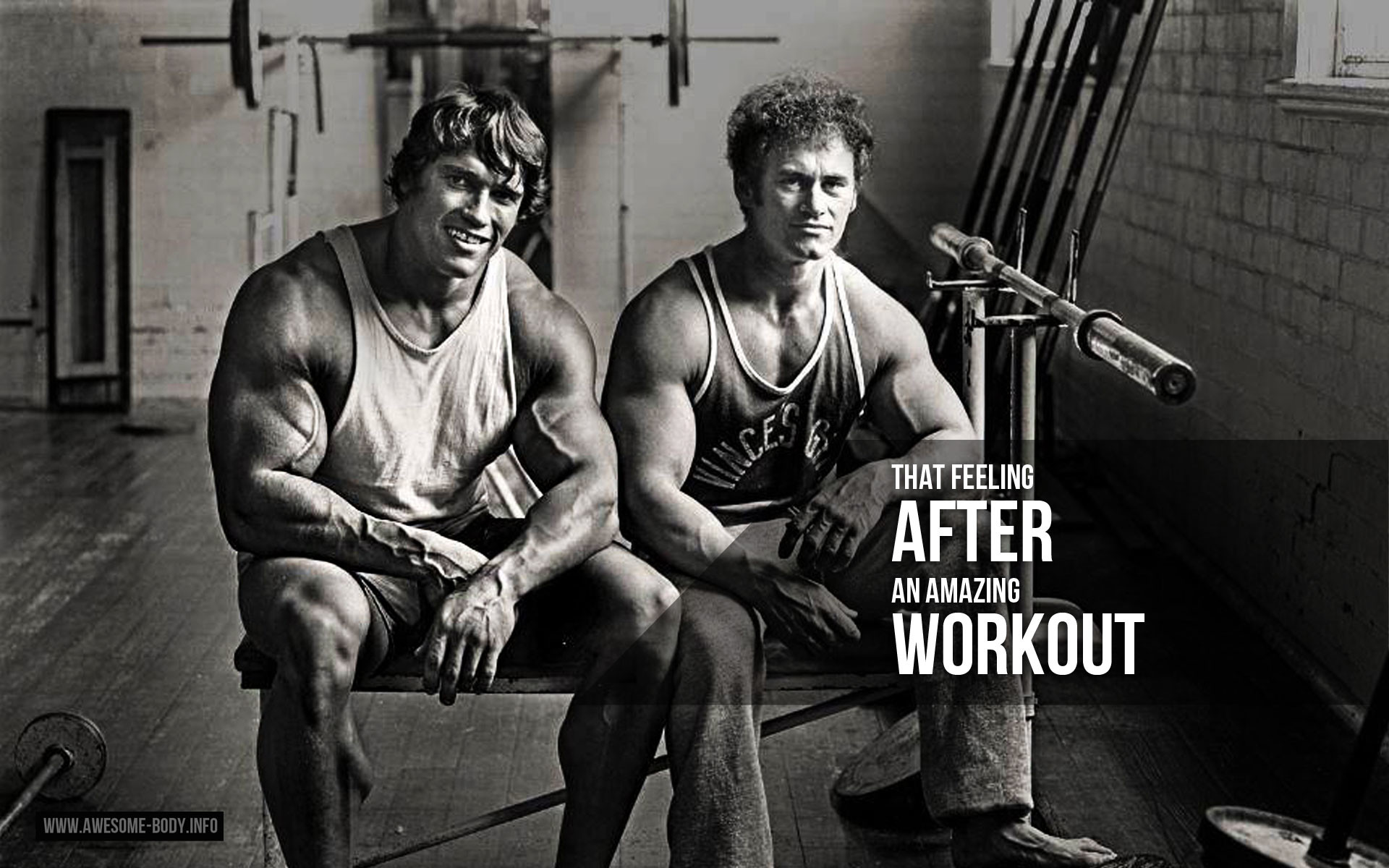 Arnold Schwarzenegger, Palestra, Bodybuilding, Bianco e nero, 16:10 Full HD, sfondo widescreen