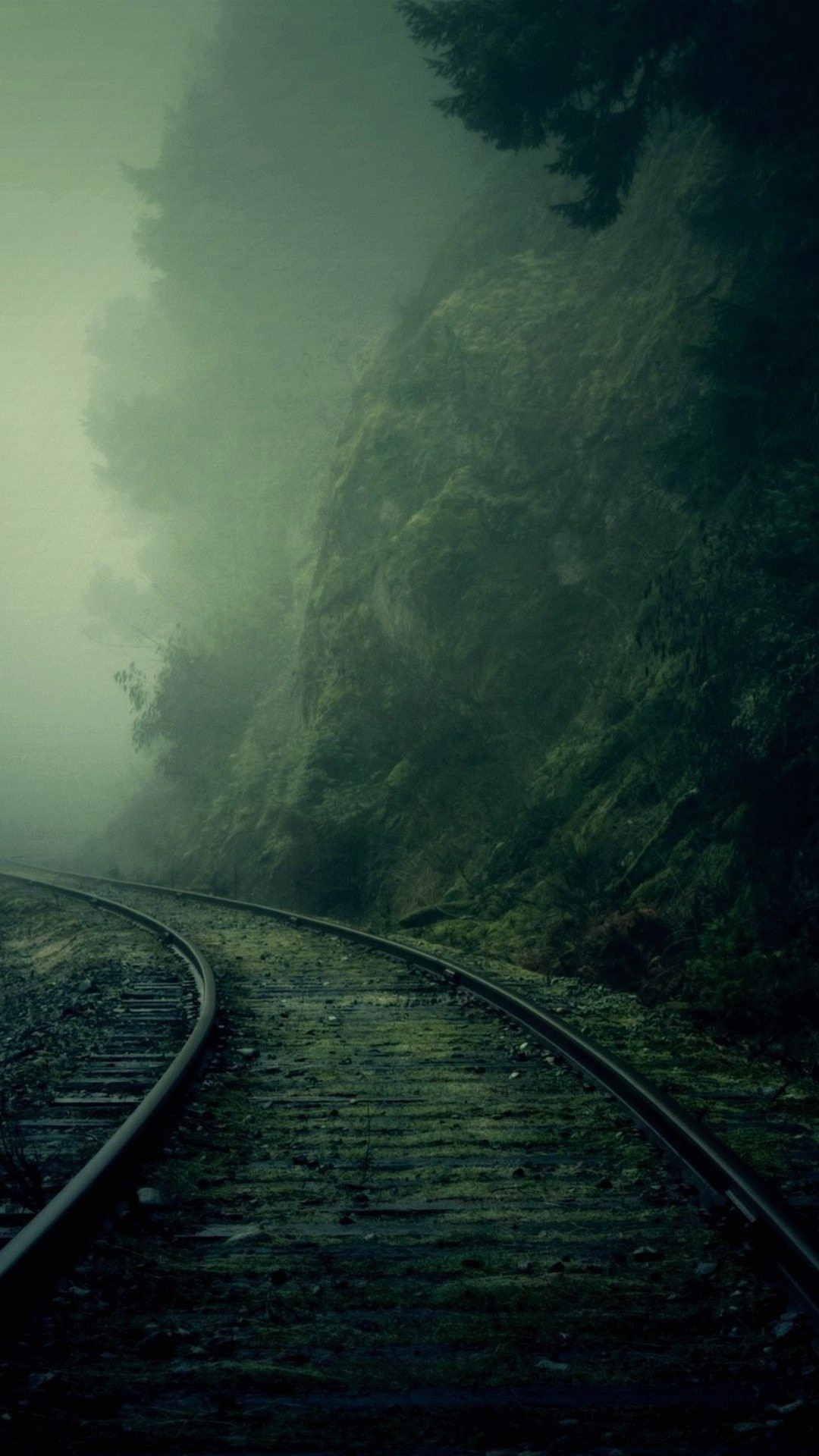 Binari, Ferrovia, Nebbia, Foresta, Full HD, sfondo verticale per cellulare