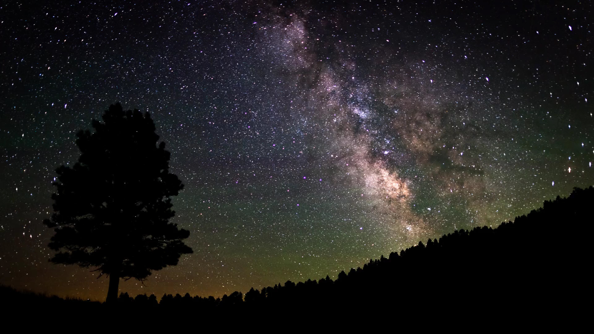 Via Lattea, Albero, Silhouette, Notte, Full HD, sfondo Windows 11