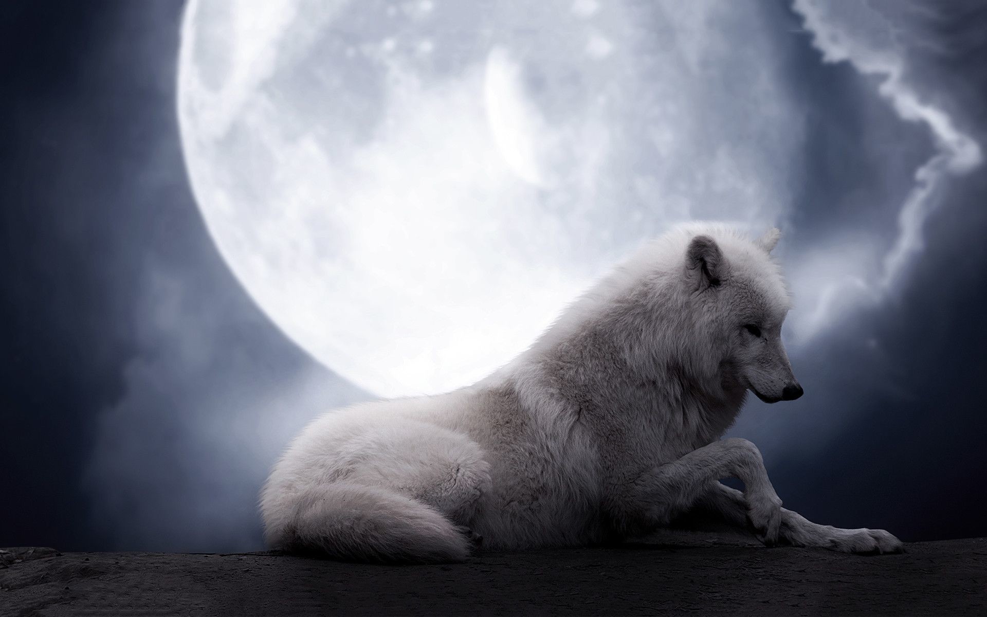 Lupo bianco, Luna piena, Notte, Nuvole, Arte digitale, 1920x1200, sfondo MacBook Pro