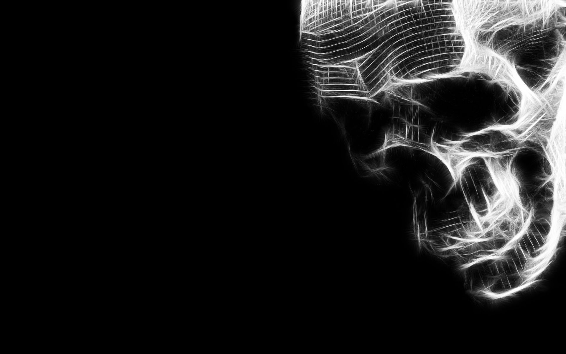 Teschio, Effetto frattale, Bianco e nero, Sfondo nero, 16:10 Full HD, wallpaper widescreen