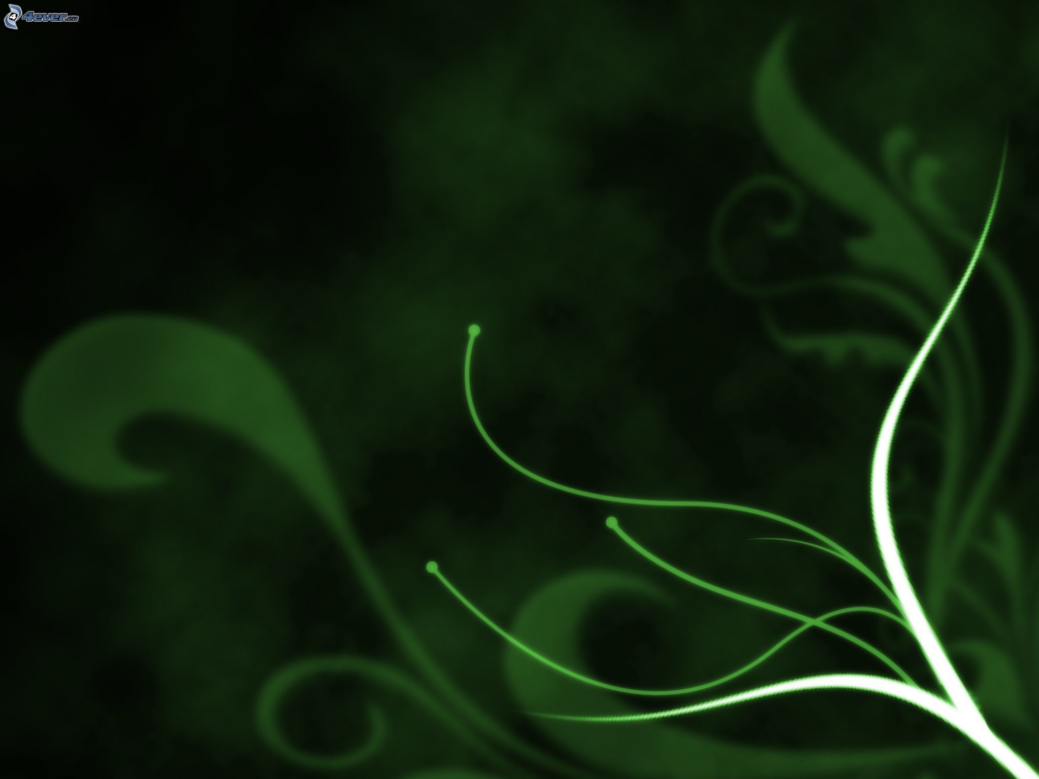 Motivo floreale, Riccioli, Verde scuro, Full HD, sfondo per iPad e tablet