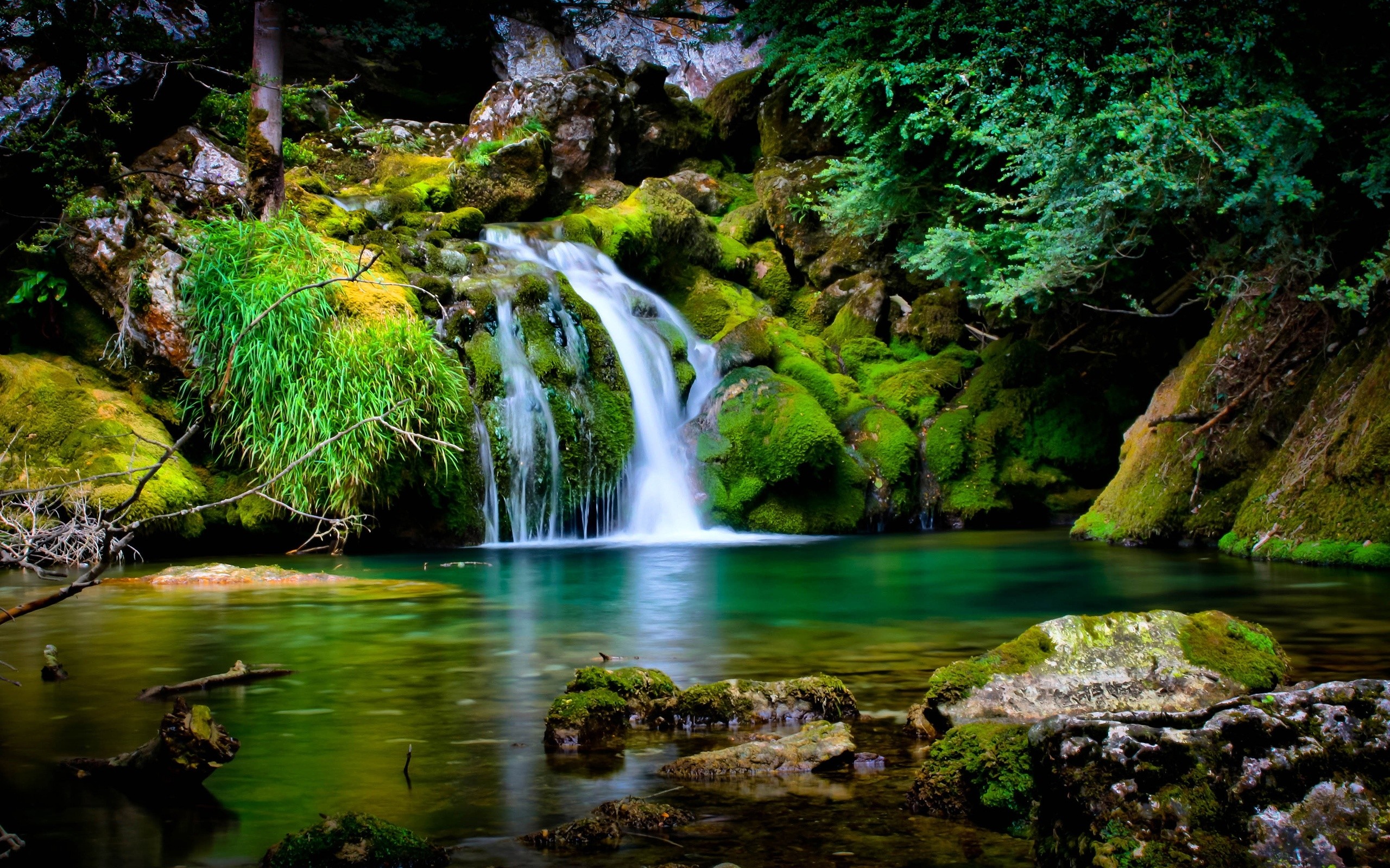 Cascata, Muschio, Foresta, Laghetto, 16:10 2K, sfondo widescreen