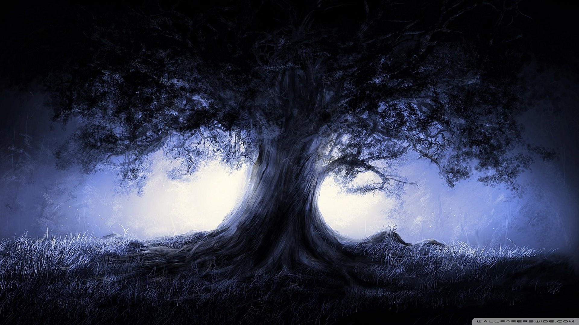 Albero, Notte, Luce, Fantasy, 1920x1080, immagine di sfondo