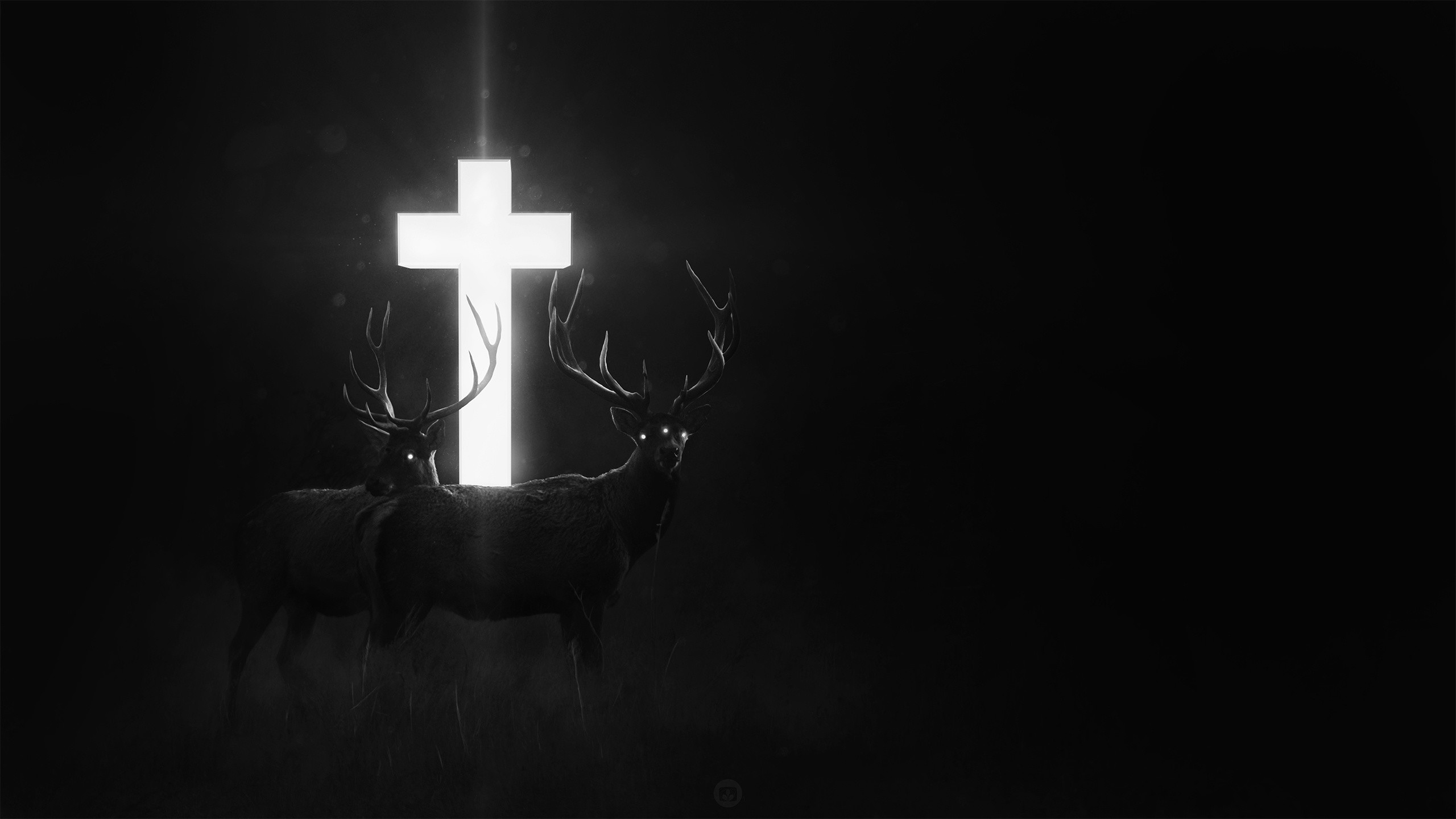 Croce luminosa, Cervi, Bianco e nero, Buio, 2560x1440, sfondo per PC