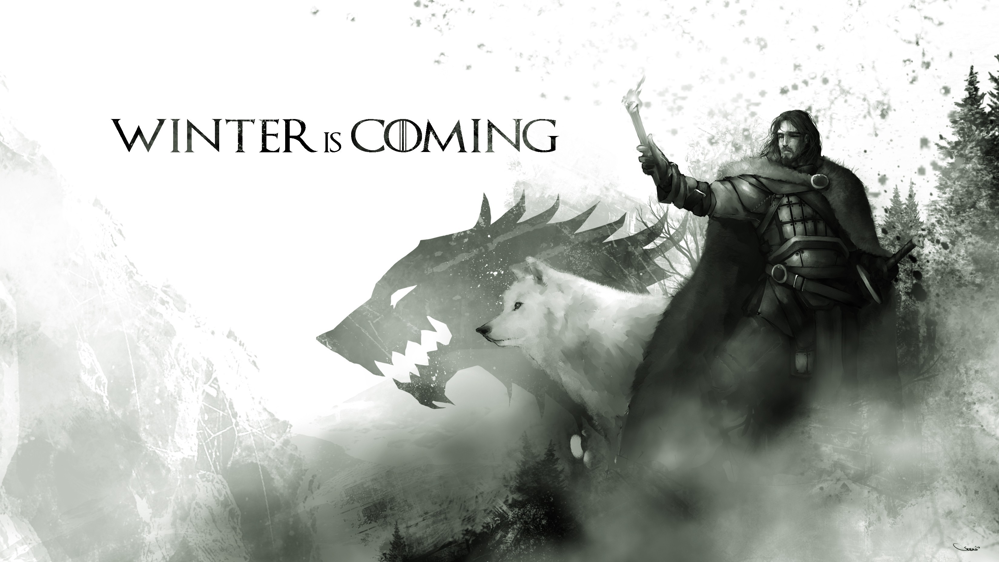 Il Trono di Spade, Jon Snow, Metalupo, Winter is Coming, Bianco e nero, sfondo 2K per computer
