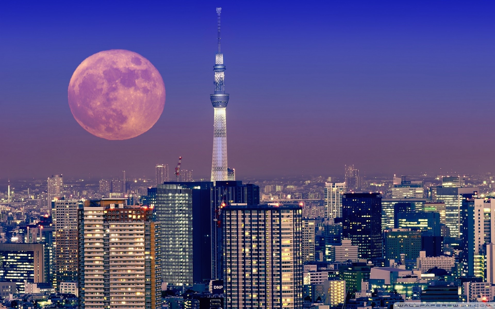 Tokyo Skytree, Tokyo, Luna piena, Skyline, Full HD, wallpaper per portatile