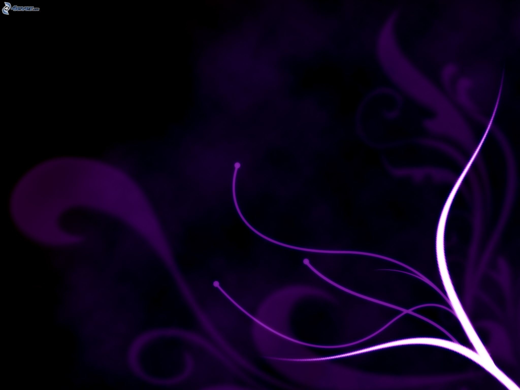 Motivi floreali, Volute, Viola scuro, Astratto, Full HD, wallpaper per tablet