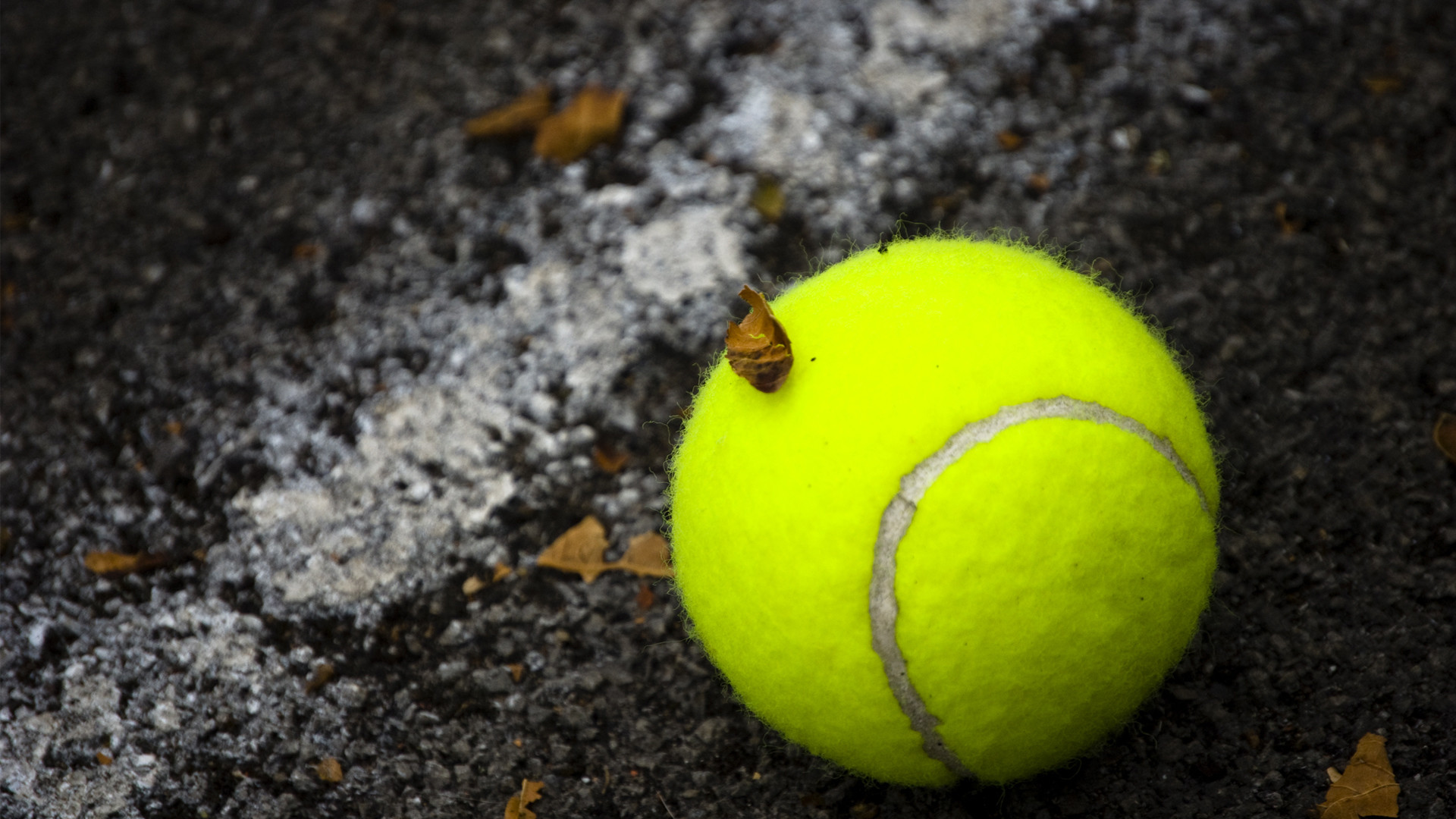 Pallina da tennis, Cemento, Macro, Full HD, sfondo per PC