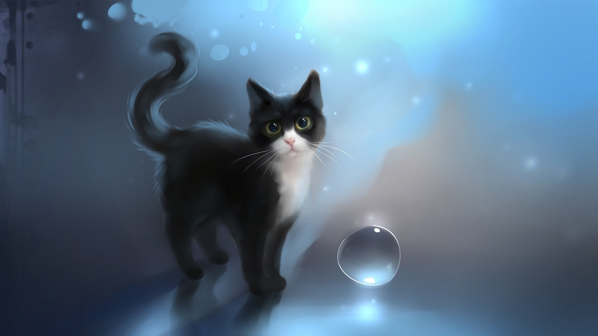Gatto bianco e nero, Illustrazione, Bolla, Blu, Full HD, sfondo per PC