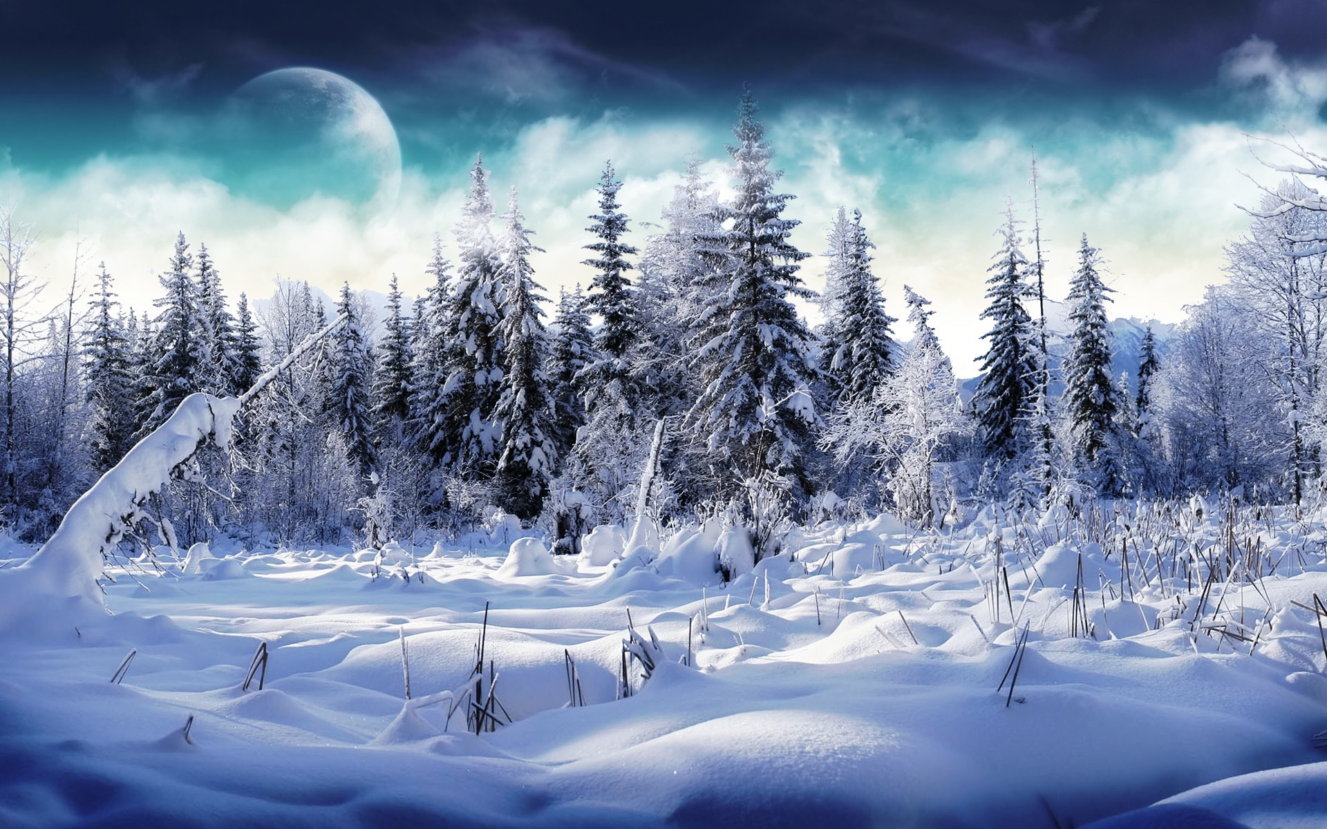 Bosco innevato, Luna, Abeti, Arte digitale, Full HD, sfondo Windows 11