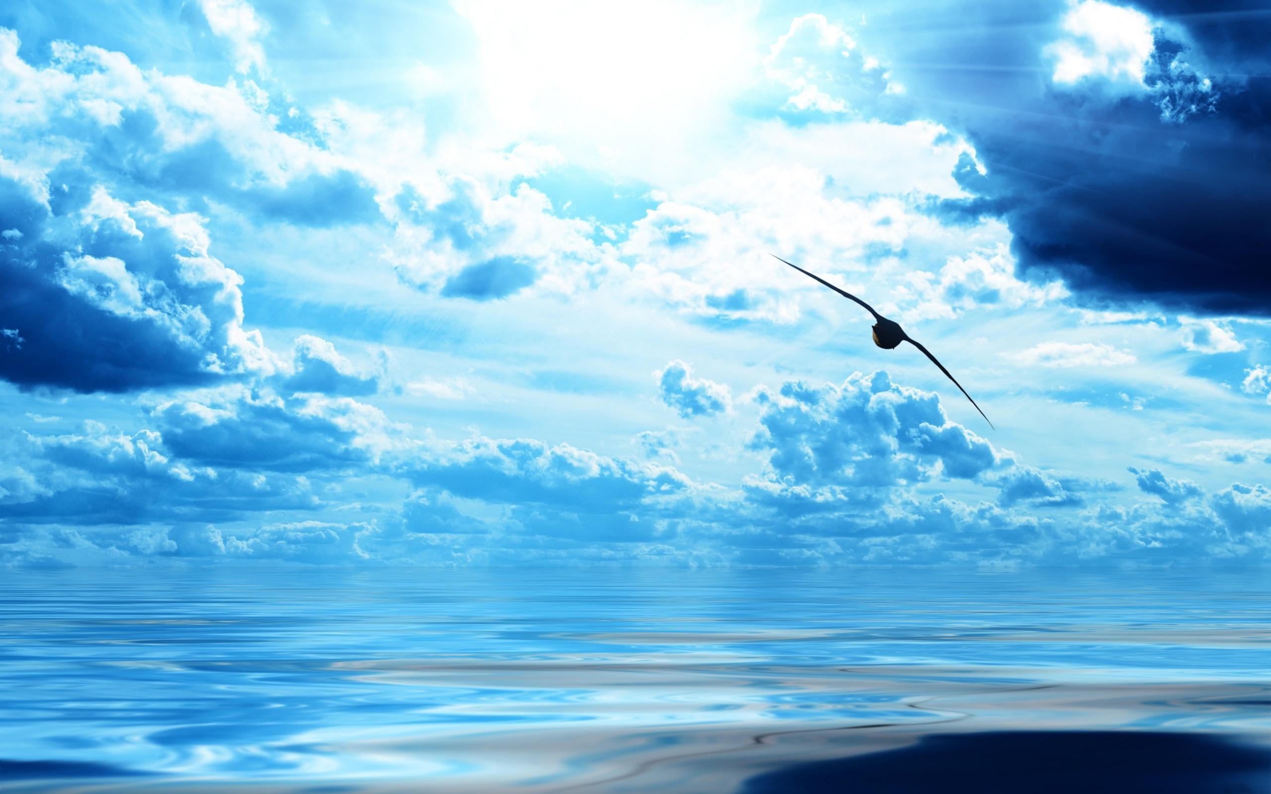 Gabbiano, Volo, Cielo, Mare, Azzurro, 2560x1600, immagine di sfondo