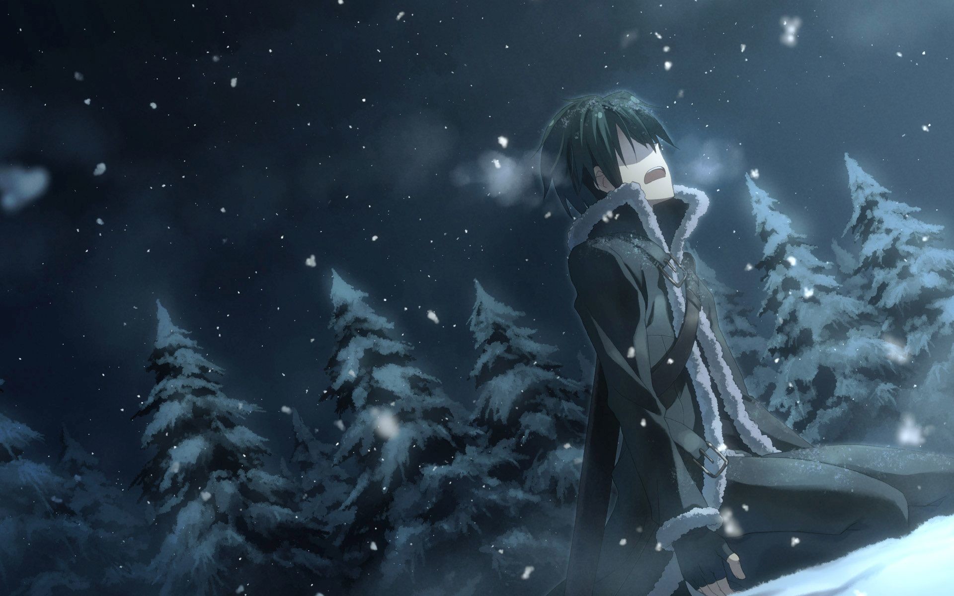 Kirito, Sword Art Online, Foresta innevata, Notte, 1920x1200, sfondo MacBook Pro