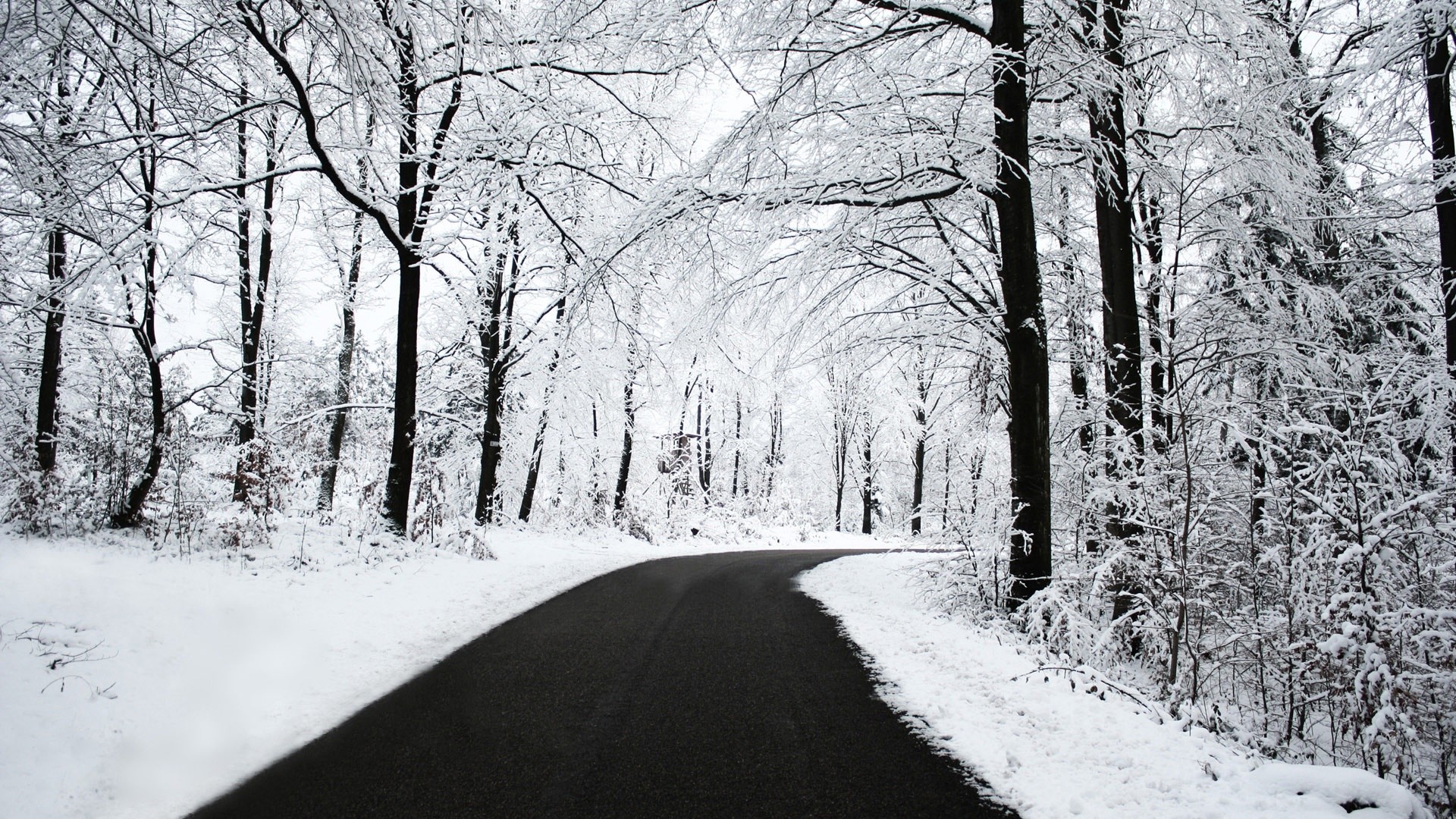 Strada, Bosco innevato, Inverno, Alberi, Full HD, sfondo per portatile