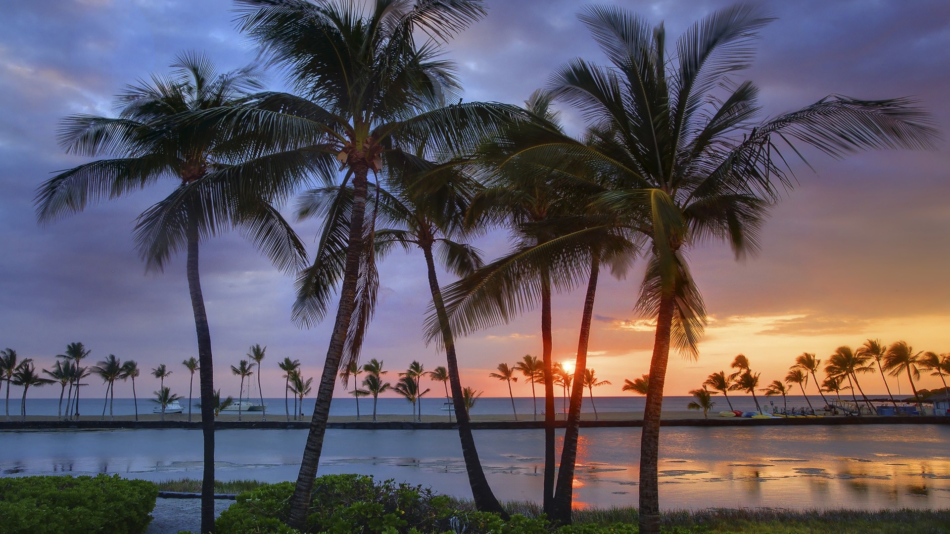 Palme, Tramonto, Spiaggia tropicale, Hawaii, Silhouette, 16:9 Full HD, sfondo widescreen
