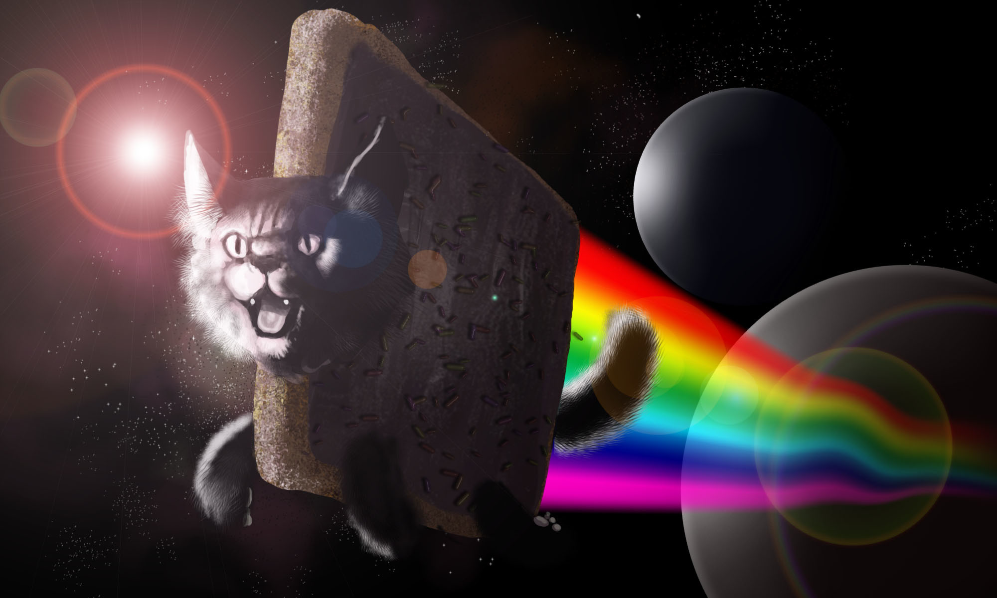 Nyan Cat, Meme, Spazio, Arcobaleno, Full HD, wallpaper per PC