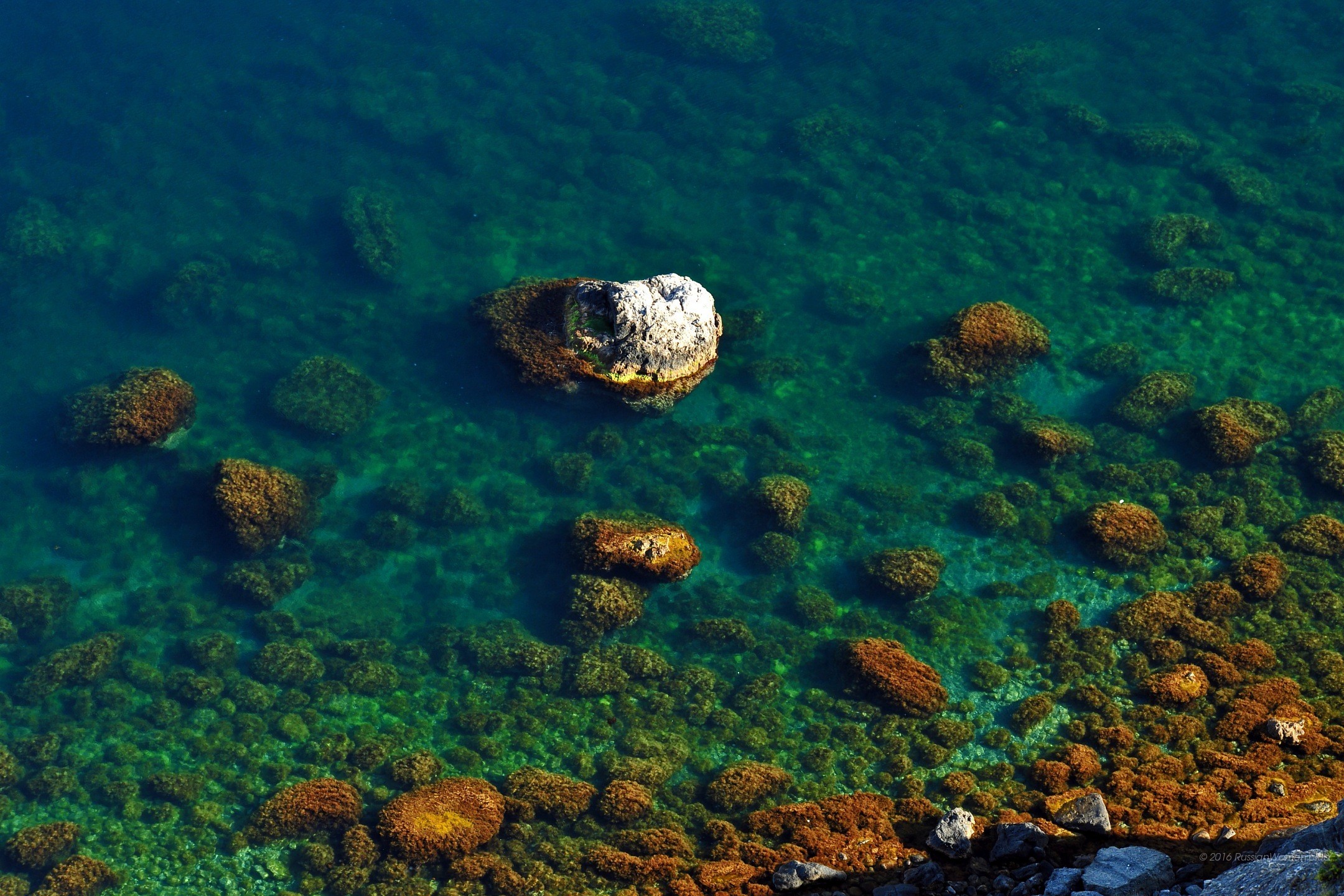 Fondale, Acqua limpida, Rocce, Verde acqua, sfondo per cellulare