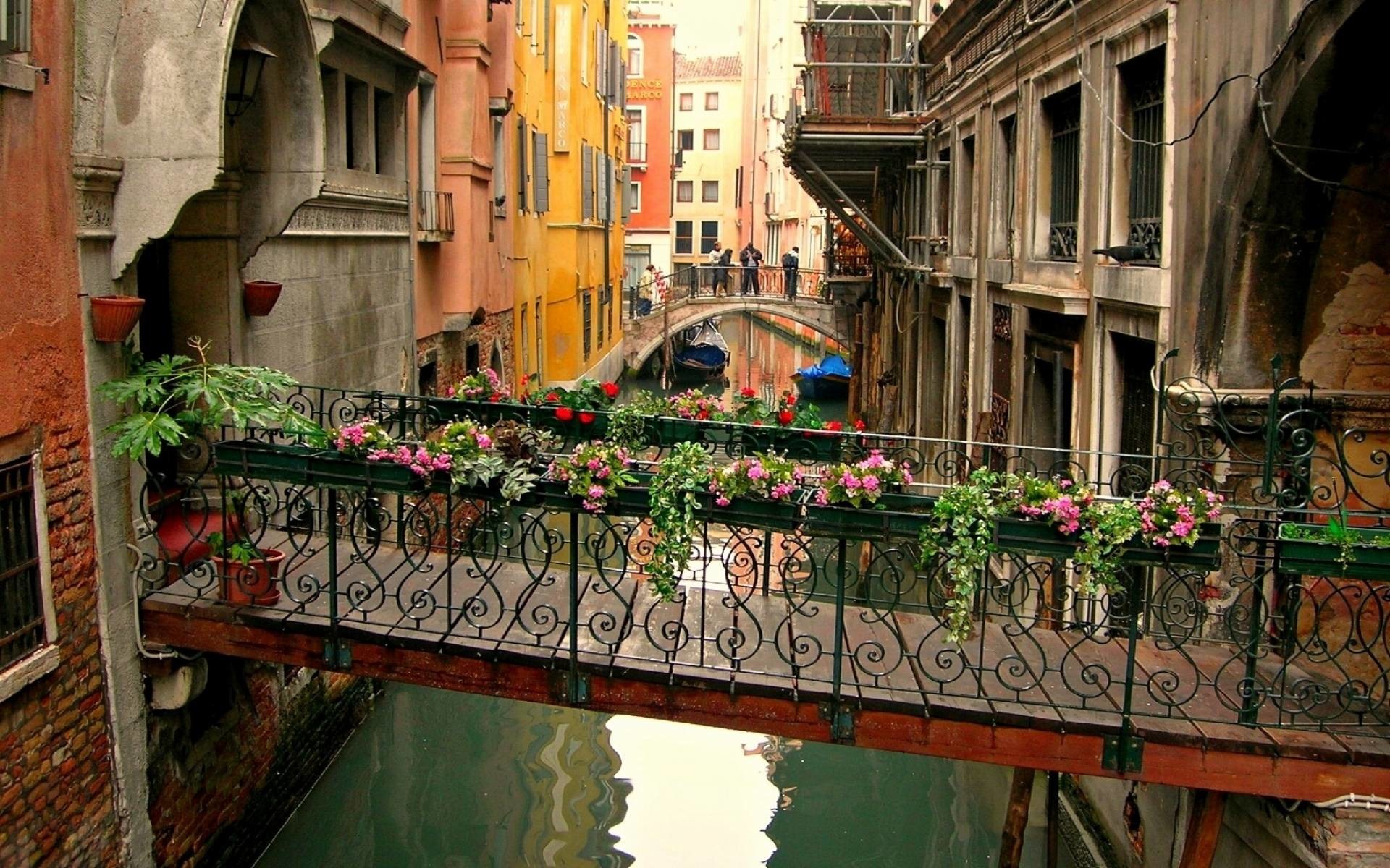 Venezia, Ponte, Canale, Fiori, 16:10 Full HD, sfondo widescreen