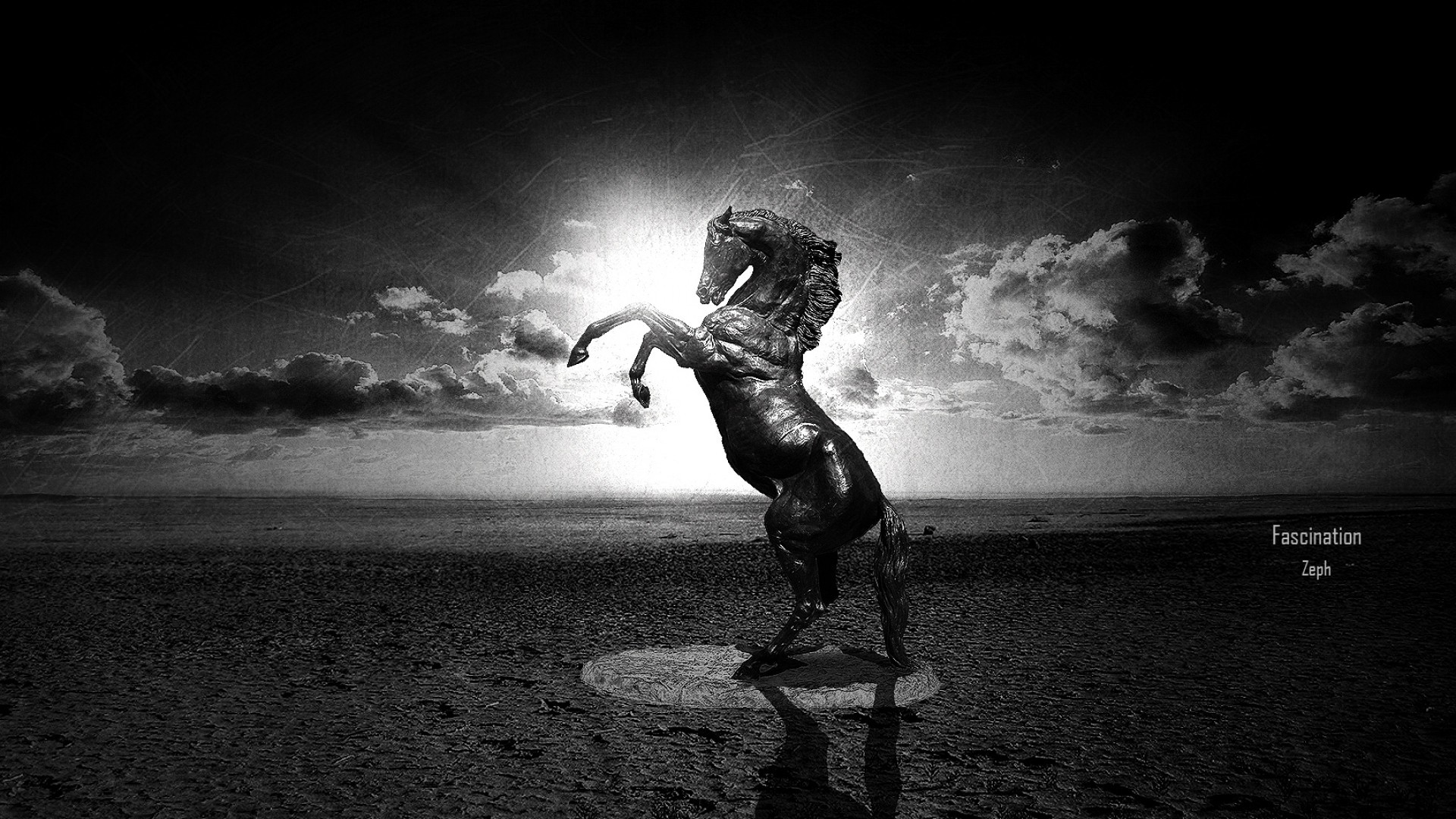 Cavallo impennato, Bianco e nero, Spiaggia, Controluce, Full HD, sfondo desktop