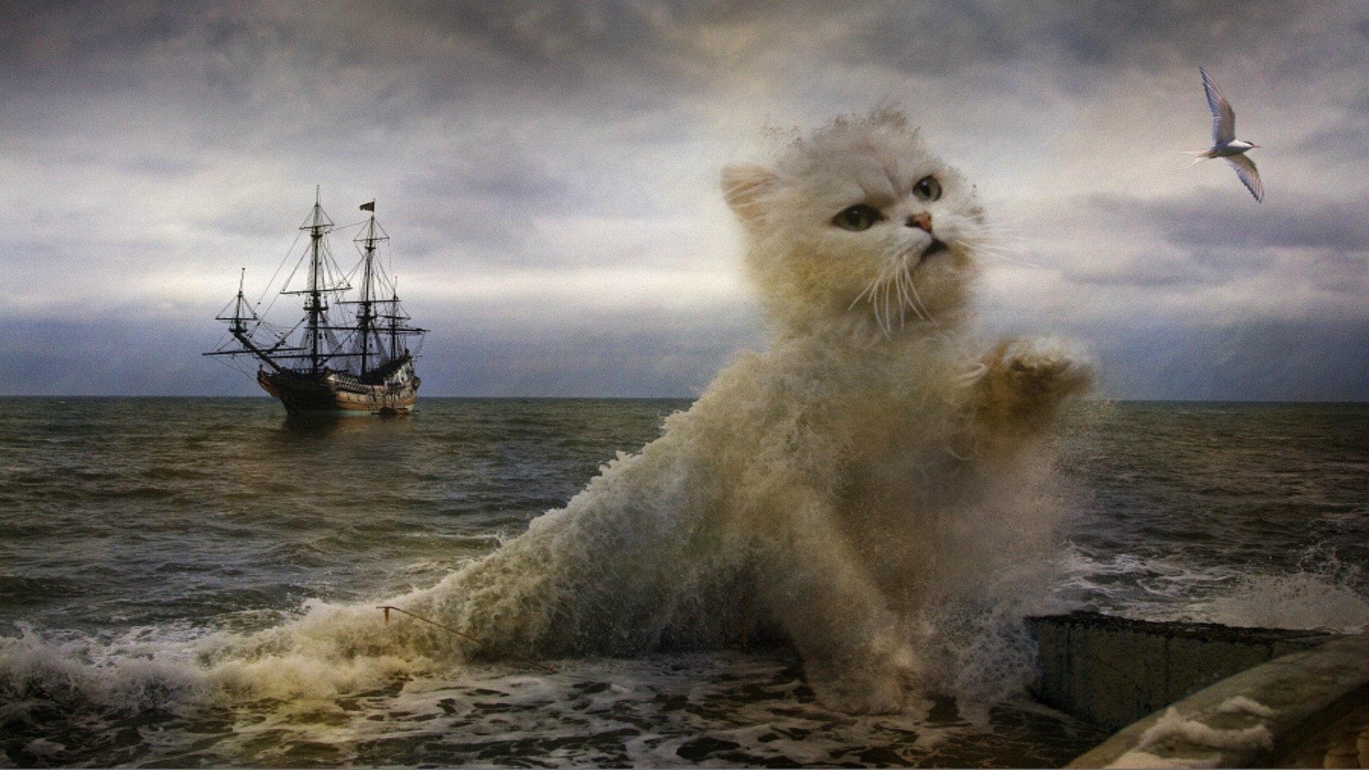 Gatto gigante, Veliero, Mare, Surreale, Full HD, wallpaper per portatile