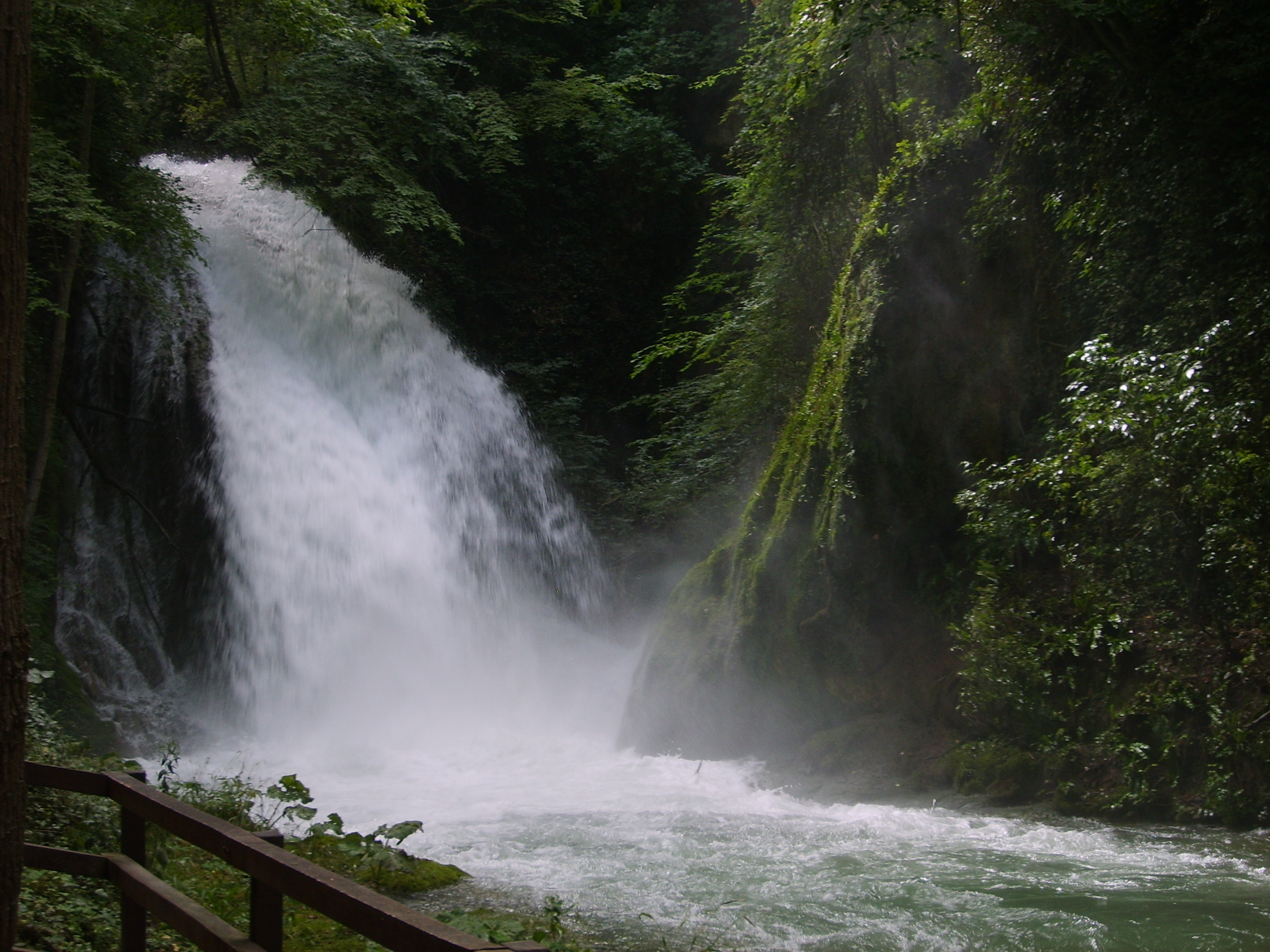 Cascata, Foresta, Verde, 2K, sfondo per iPad e tablet