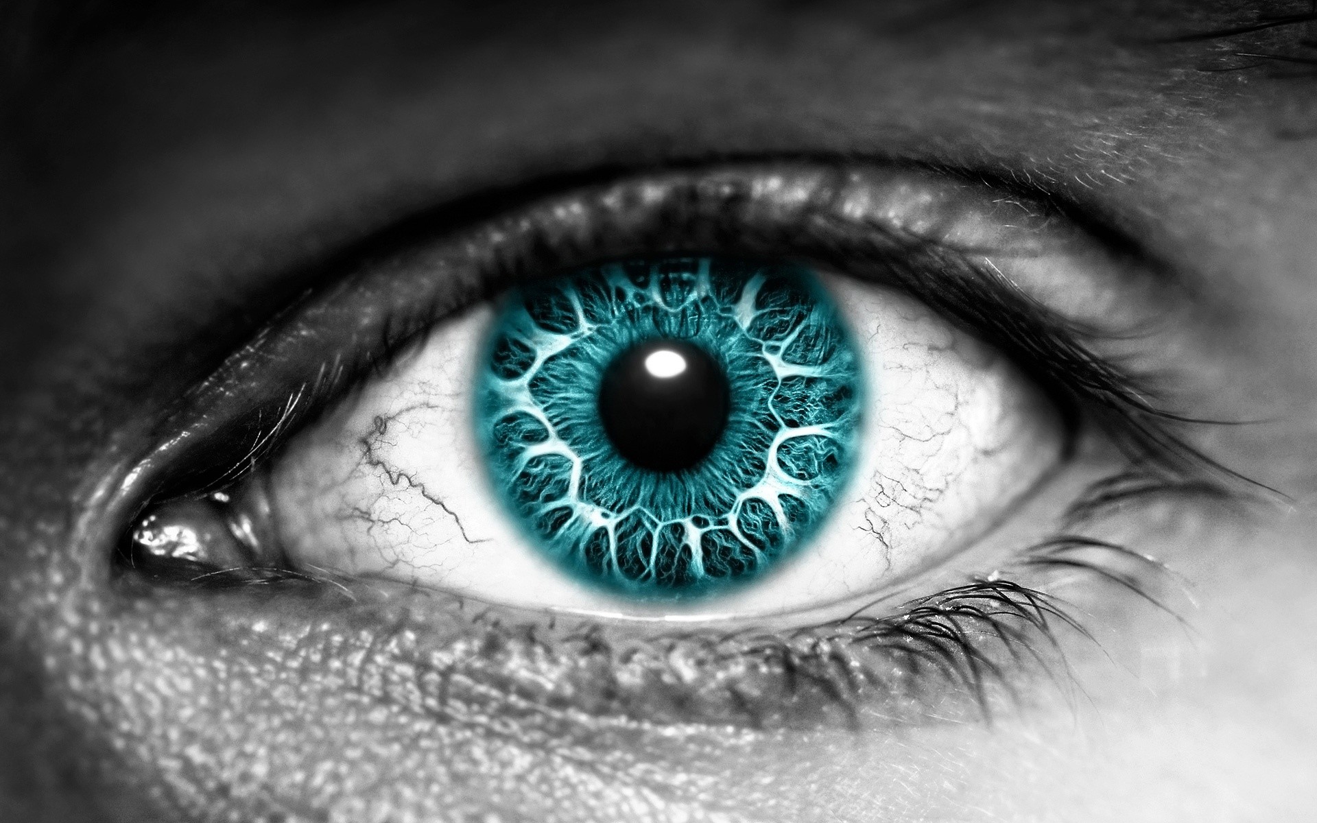 Occhio, Iride azzurra, Macro, Bianco e nero, 1920x1200, sfondo per PC