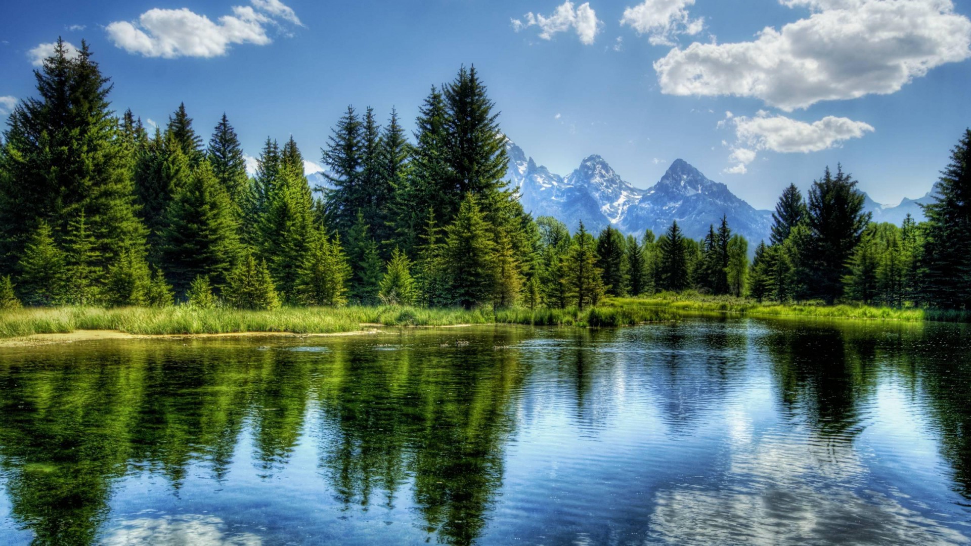 Parco nazionale del Grand Teton, Lago, Abeti, Montagne, Riflesso, sfondo Full HD per computer