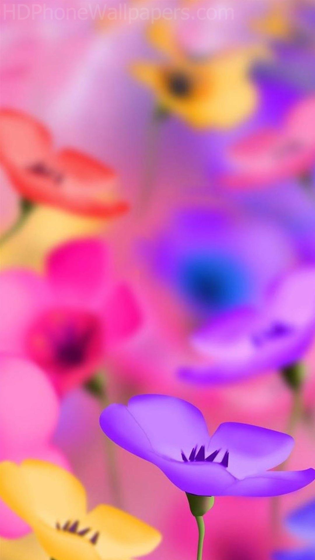 Fiori, Colorato, Rosa, Viola, Full HD, sfondo Samsung S6