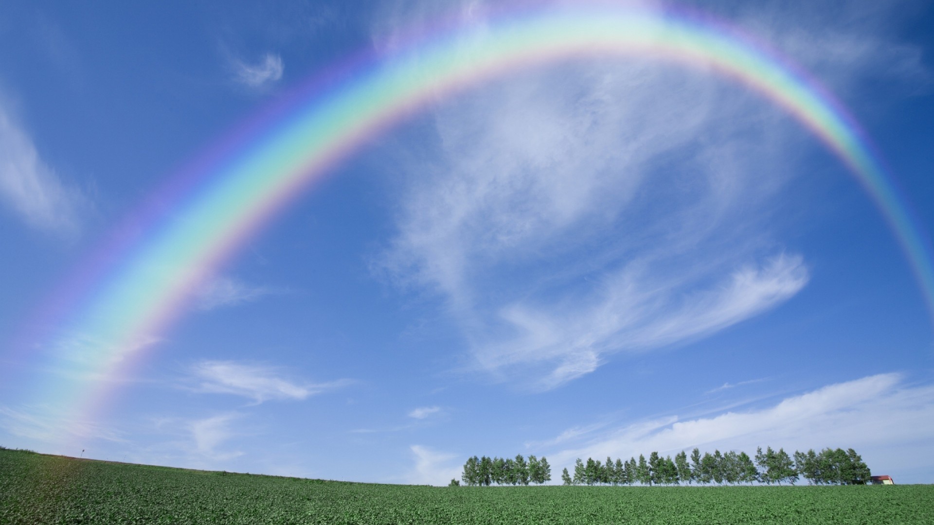 Arcobaleno, Cielo azzurro, Prato, Alberi, 1920x1080, immagine di sfondo