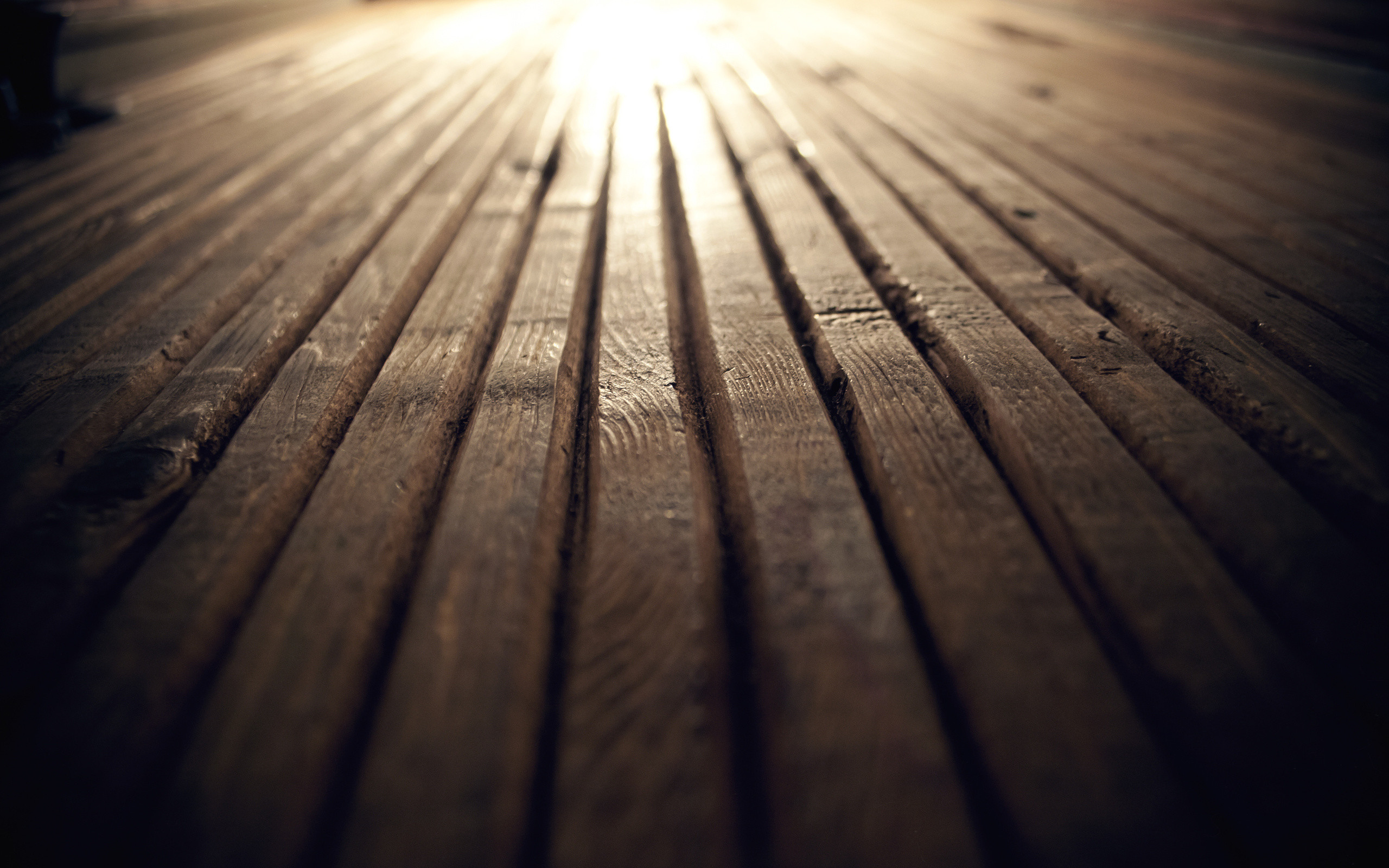 Pavimento in legno, Prospettiva, Luce, 2K 1600p, sfondo desktop
