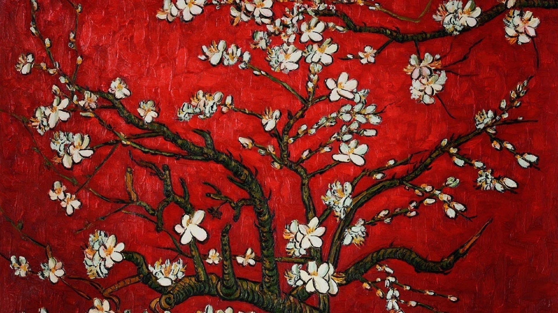 Mandorlo in fiore, Vincent van Gogh, Fiori bianchi, Sfondo rosso, Rami, wallpaper 1920x1080