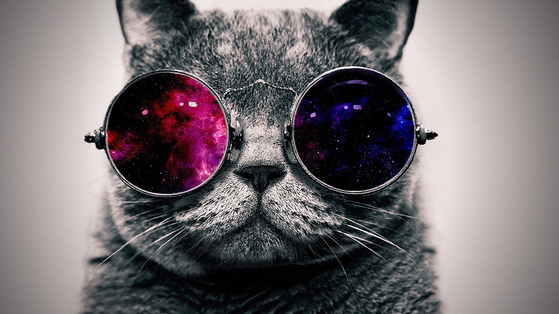 Gatto, Occhiali tondi, Galassia, Riflesso, 16:9 Full HD, wallpaper widescreen
