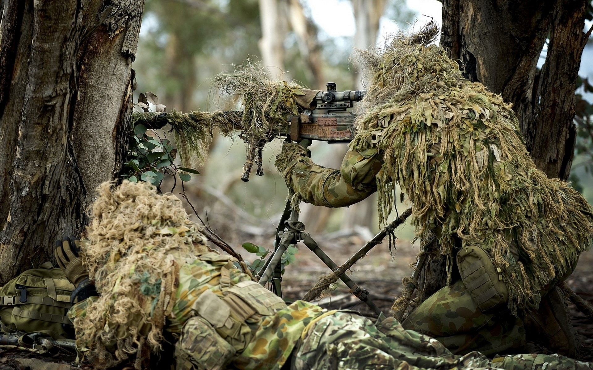 Cecchini, Ghillie suit, Mimetizzazione, Bosco, 1920x1200, sfondo per PC
