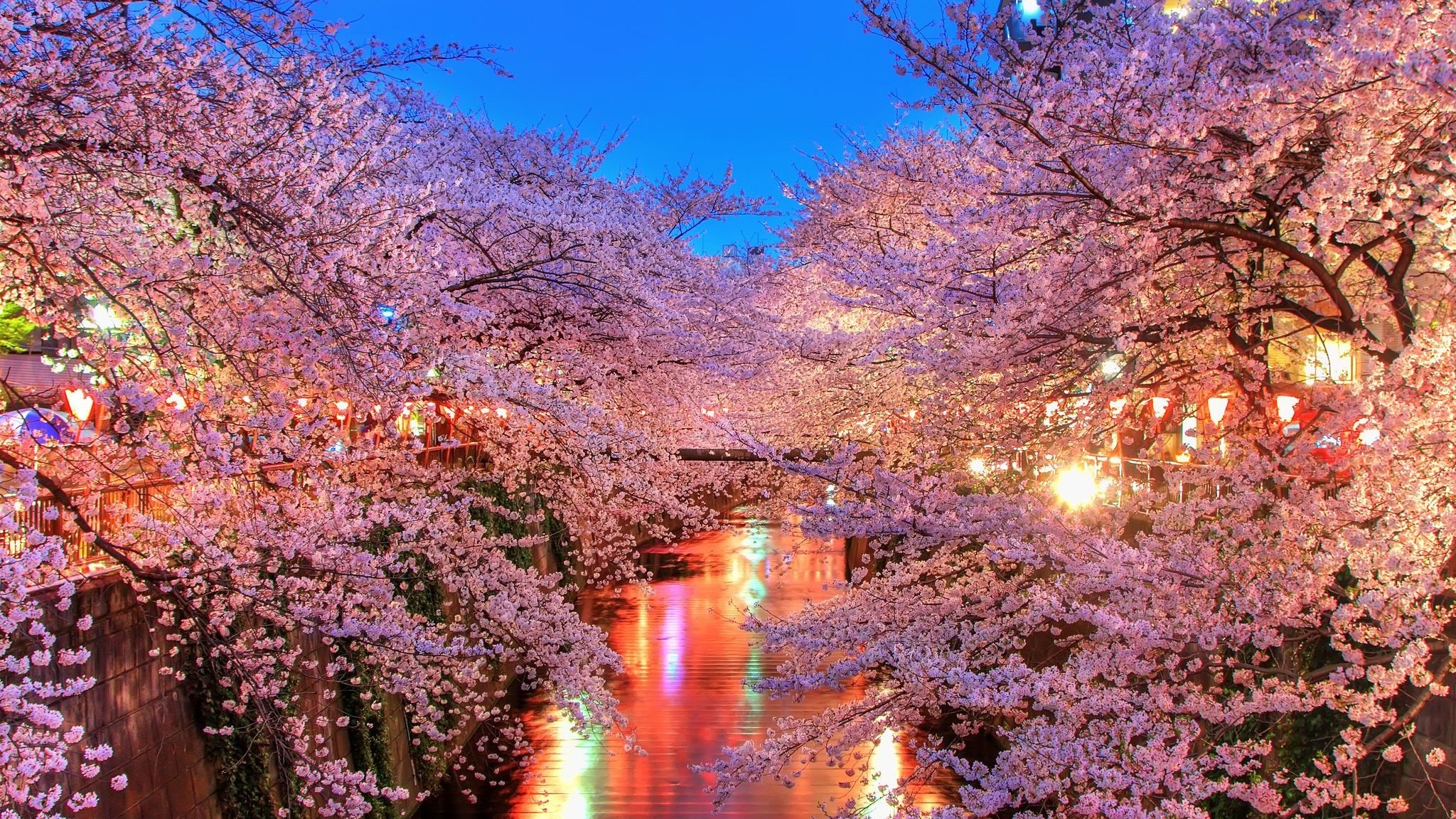Fiume Meguro, Tokyo, Giappone, Ciliegi in fiore, Hanami, Sera, 16:9 Full HD, sfondo widescreen