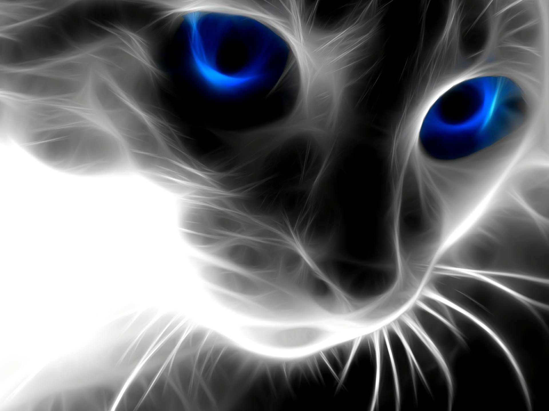 Gatto, Arte frattale, Occhi blu, Bianco e nero, sfondo per iPad e tablet