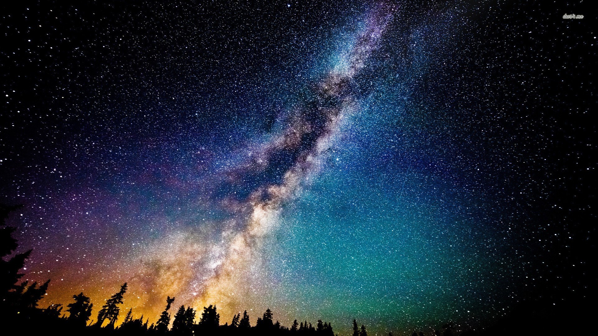 Via Lattea, Cielo stellato, Alberi, Notte, 16:9 Full HD, wallpaper widescreen