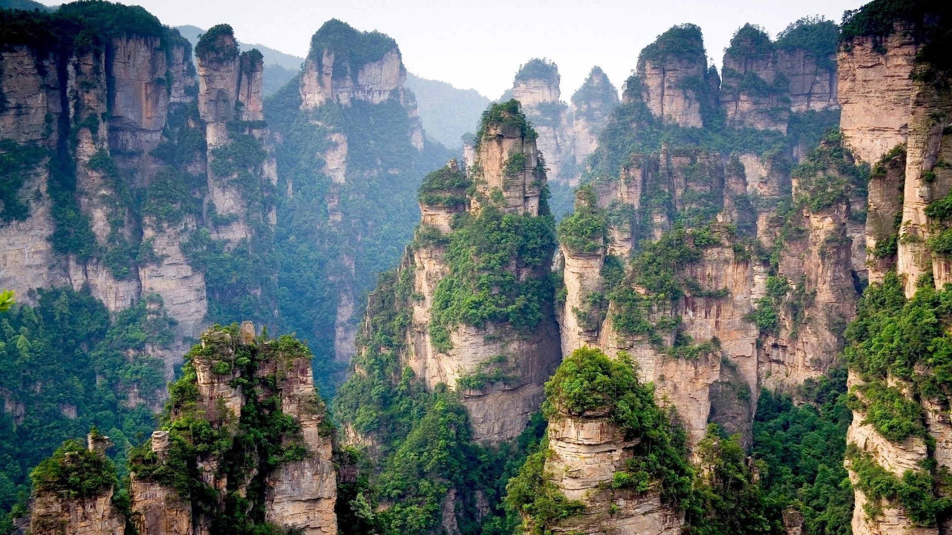Zhangjiajie, Hunan, Cina, Pilastri di roccia, Foresta, Full HD, wallpaper per portatile