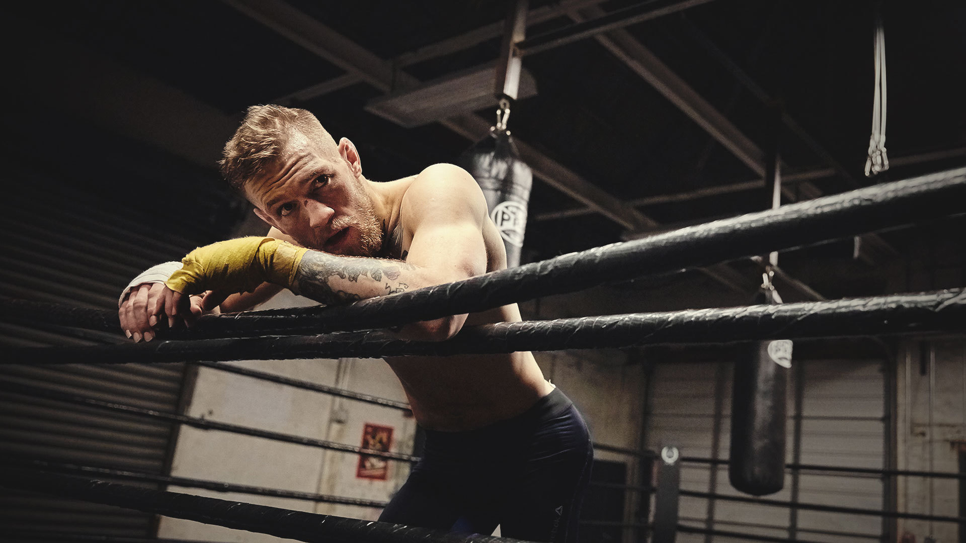 Conor McGregor, Ring, Palestra, Allenamento, Full HD, sfondo per PC