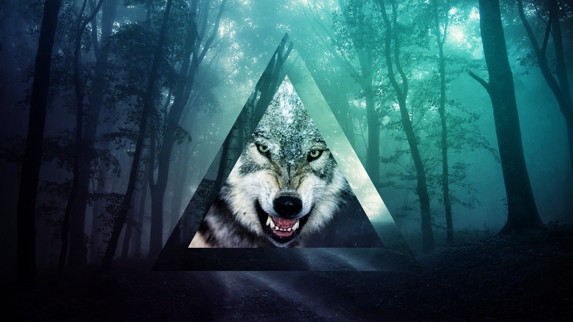 Lupo, Triangolo, Foresta, Hipster, Full HD, sfondo per PC