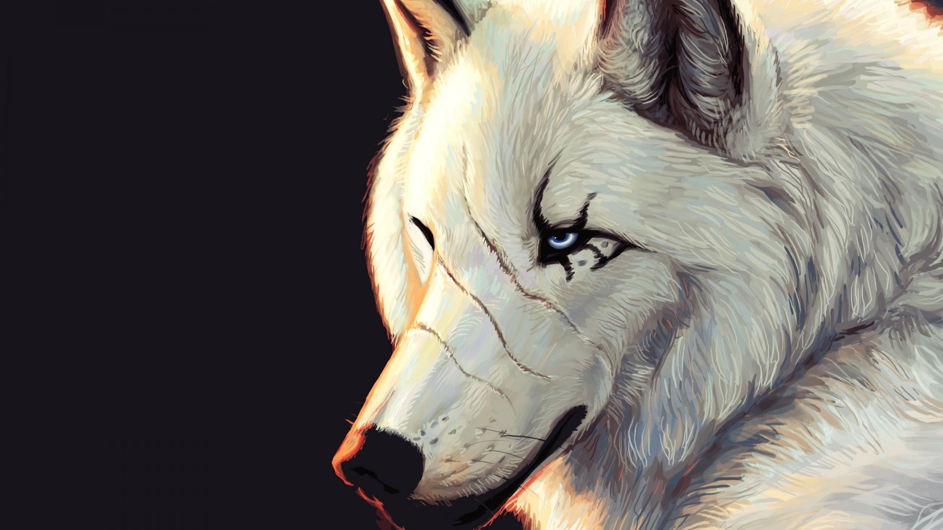 Lupo bianco, Cicatrice, Occhi azzurri, Pittura digitale, Full HD 1080p, sfondo desktop